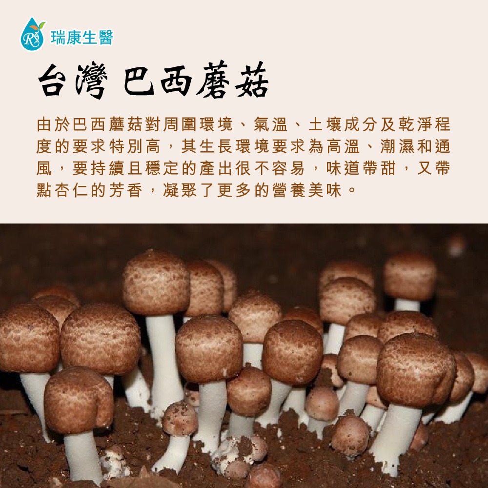 純素-特級(姬松茸)巴西蘑菇-乾菇200g/瓶(共4瓶)