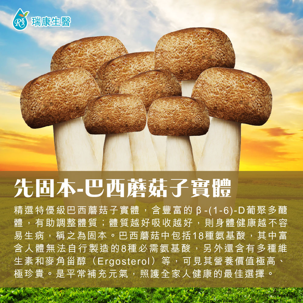 Good好禮-巴西蘑菇乾菇25g(冷凍乾燥技術)1包 / 段木香菇乾菇70g1包-禮盒