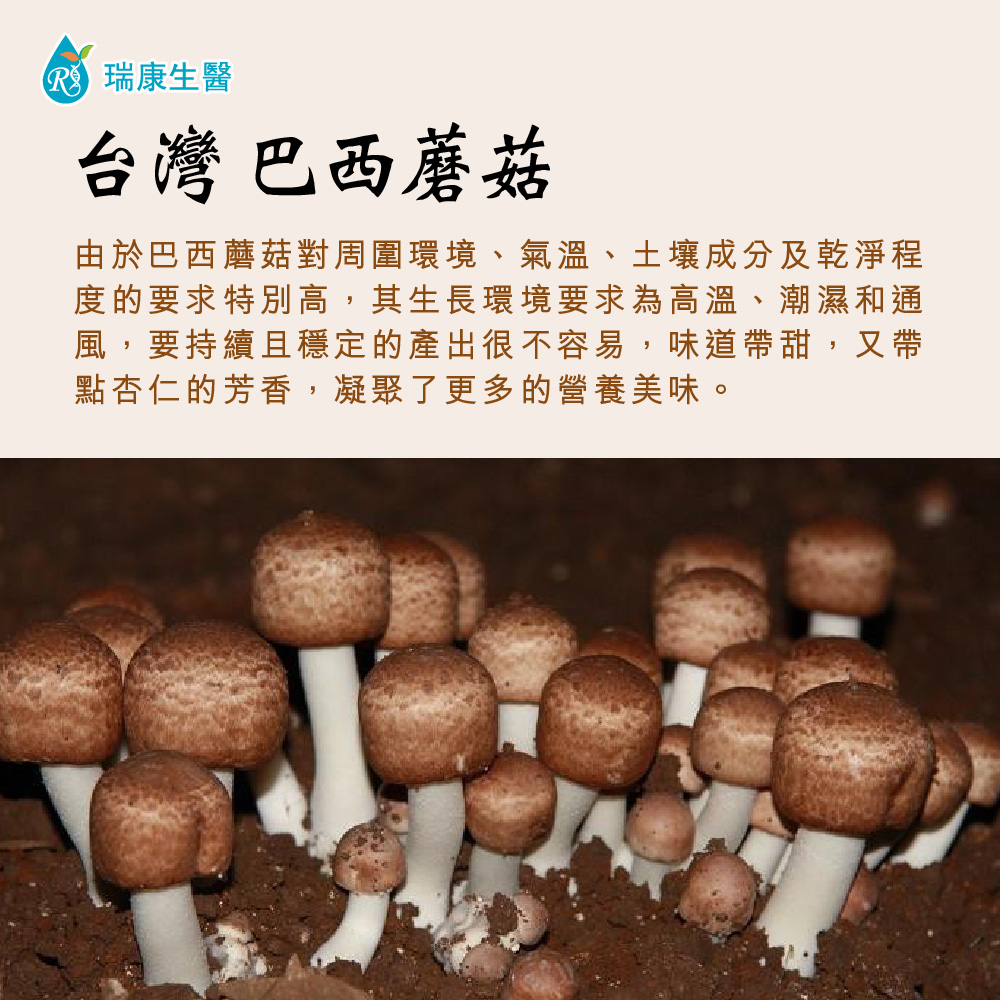 Good好禮-巴西蘑菇乾菇25g(冷凍乾燥技術)1包 / 段木香菇乾菇70g1包-禮盒