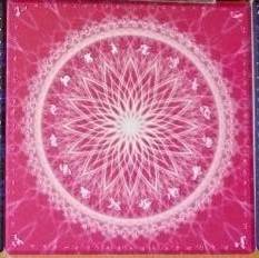 多對多/活動