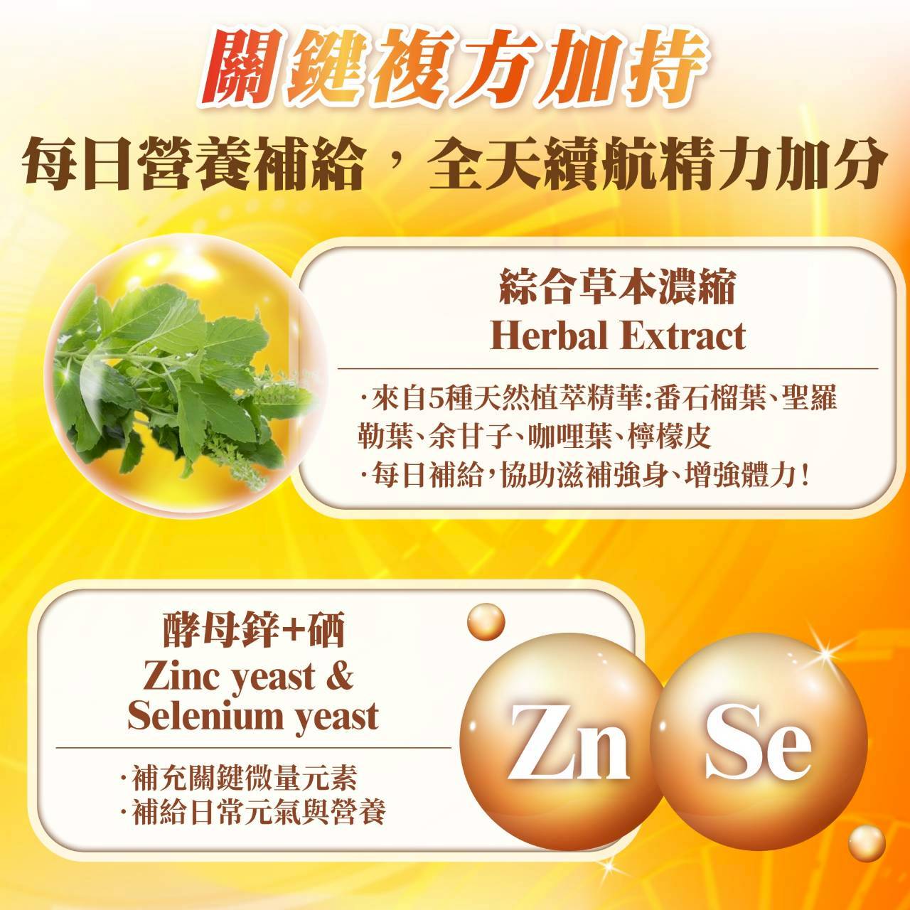 綜合B群複方膠囊
