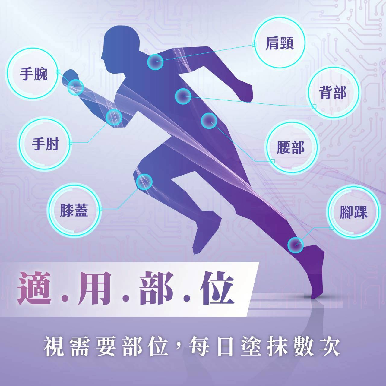 鱘龍傳奇精油滾珠瓶－S秘素升級版