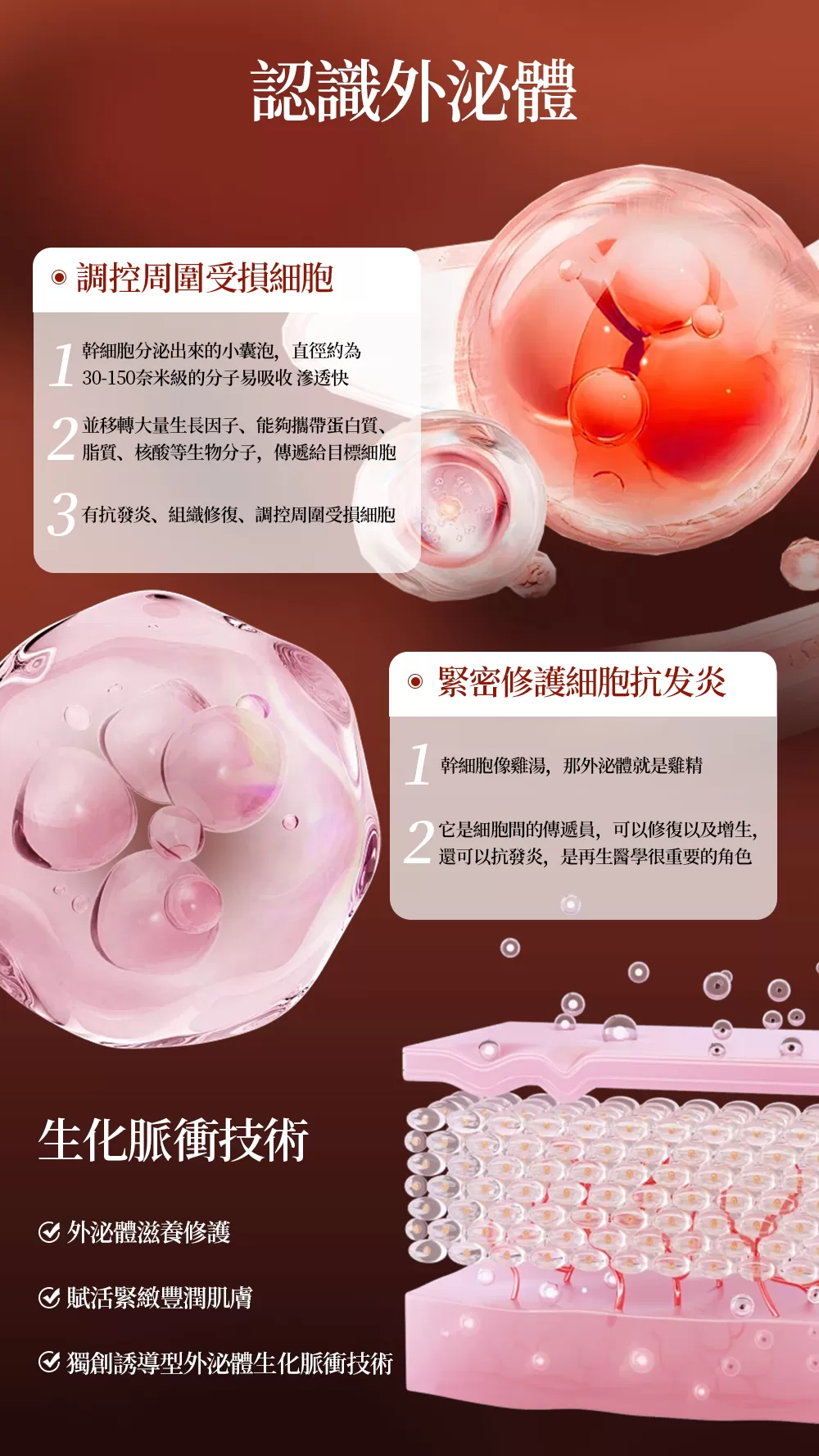 面膜預購活動 買2盒送2片