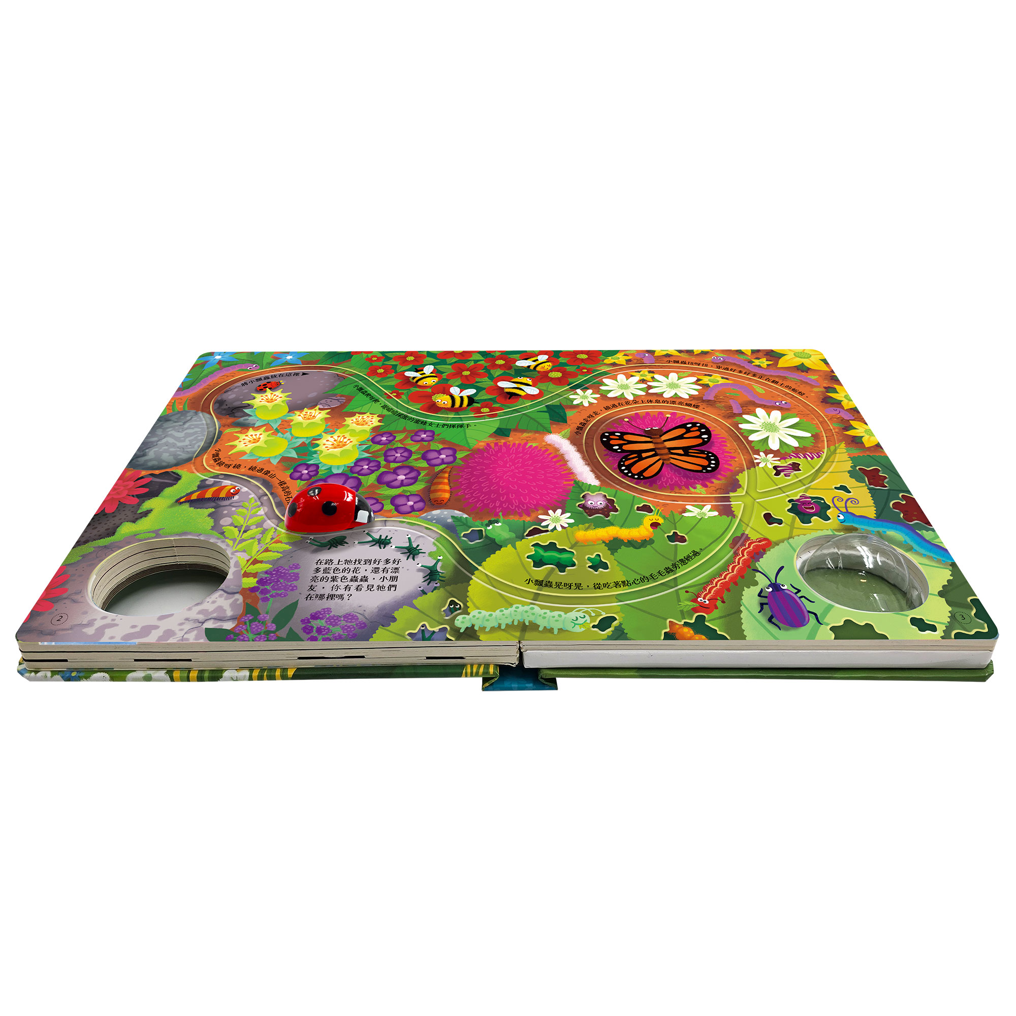 發條小瓢蟲-環遊大花園,遊戲互動,U51330009,發條小瓢蟲-環遊大花園,所有商品,幼童看這裡