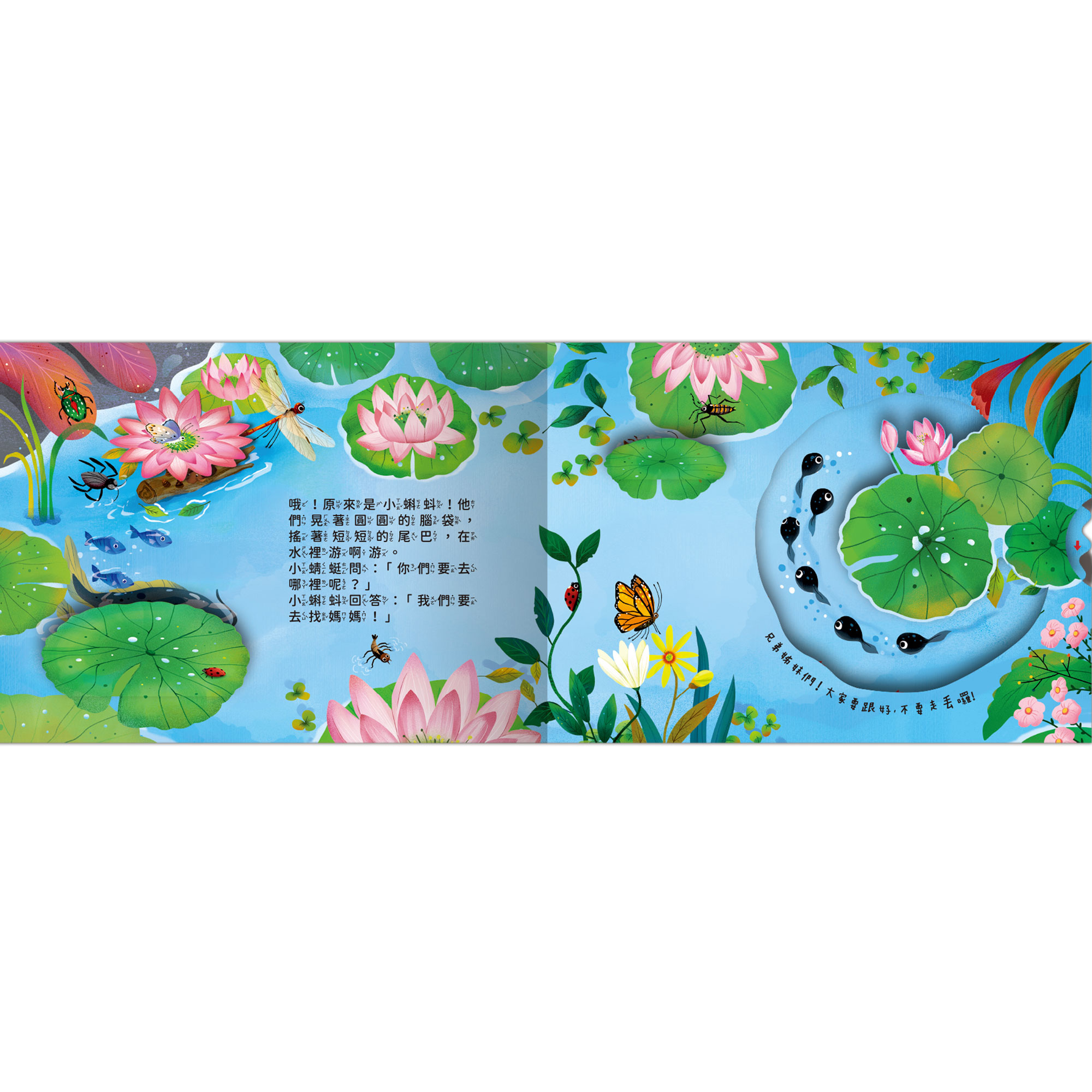 成長歷險立體繪本-小蝌蚪要找媽媽,立體翻翻書、成長繪本,U51380015,成長歷險立體繪本-小蝌蚪要找媽媽,所有商品,幼童看這裡