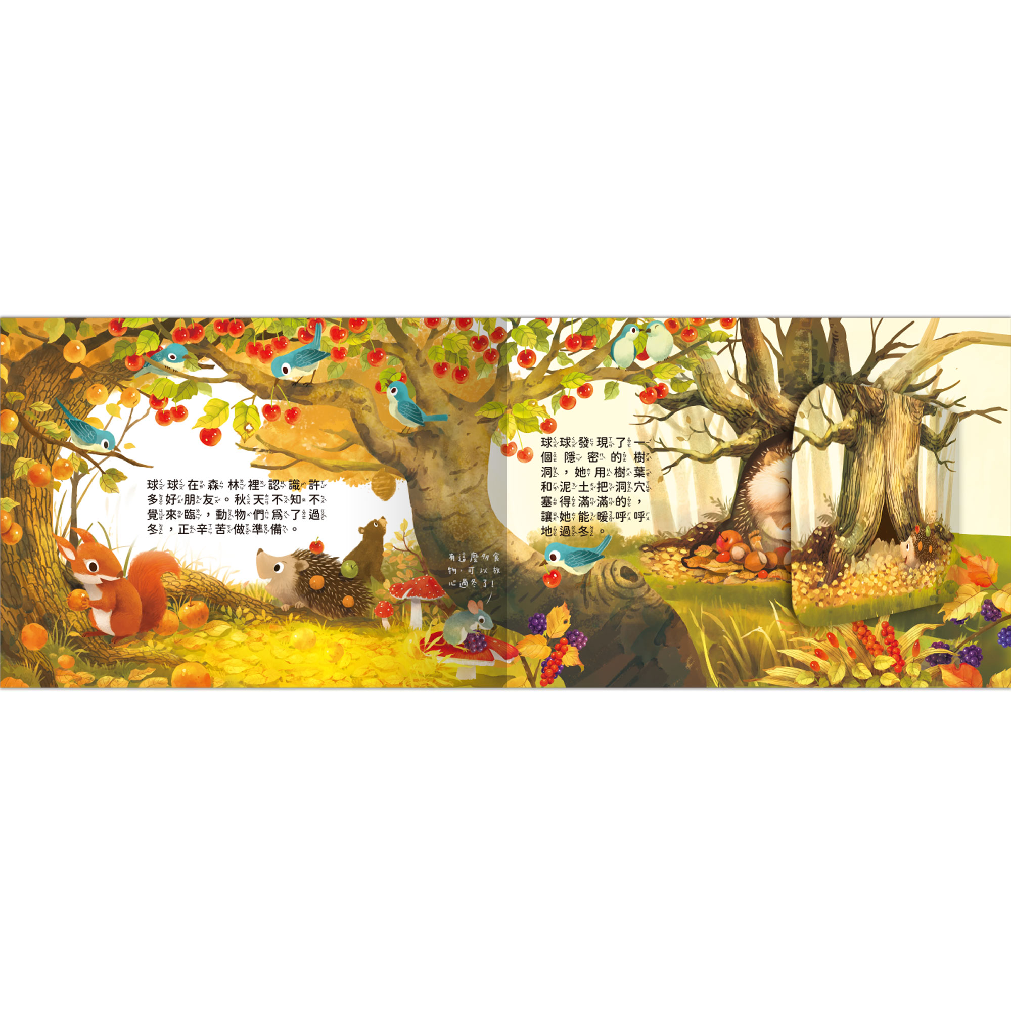 成長歷險立體繪本-小刺蝟要探險,立體翻翻書、成長繪本,U51380020,成長歷險立體繪本-小刺蝟要探險,所有商品,幼童看這裡