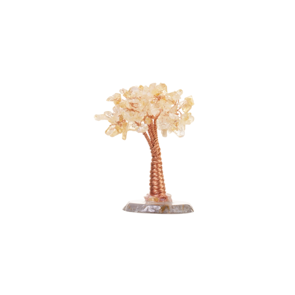 黑圓底古松樹（黃水晶）｜根深穩財・富貴長青,招財,居家風水,財位擺設,事業運擺飾,黃水晶招財