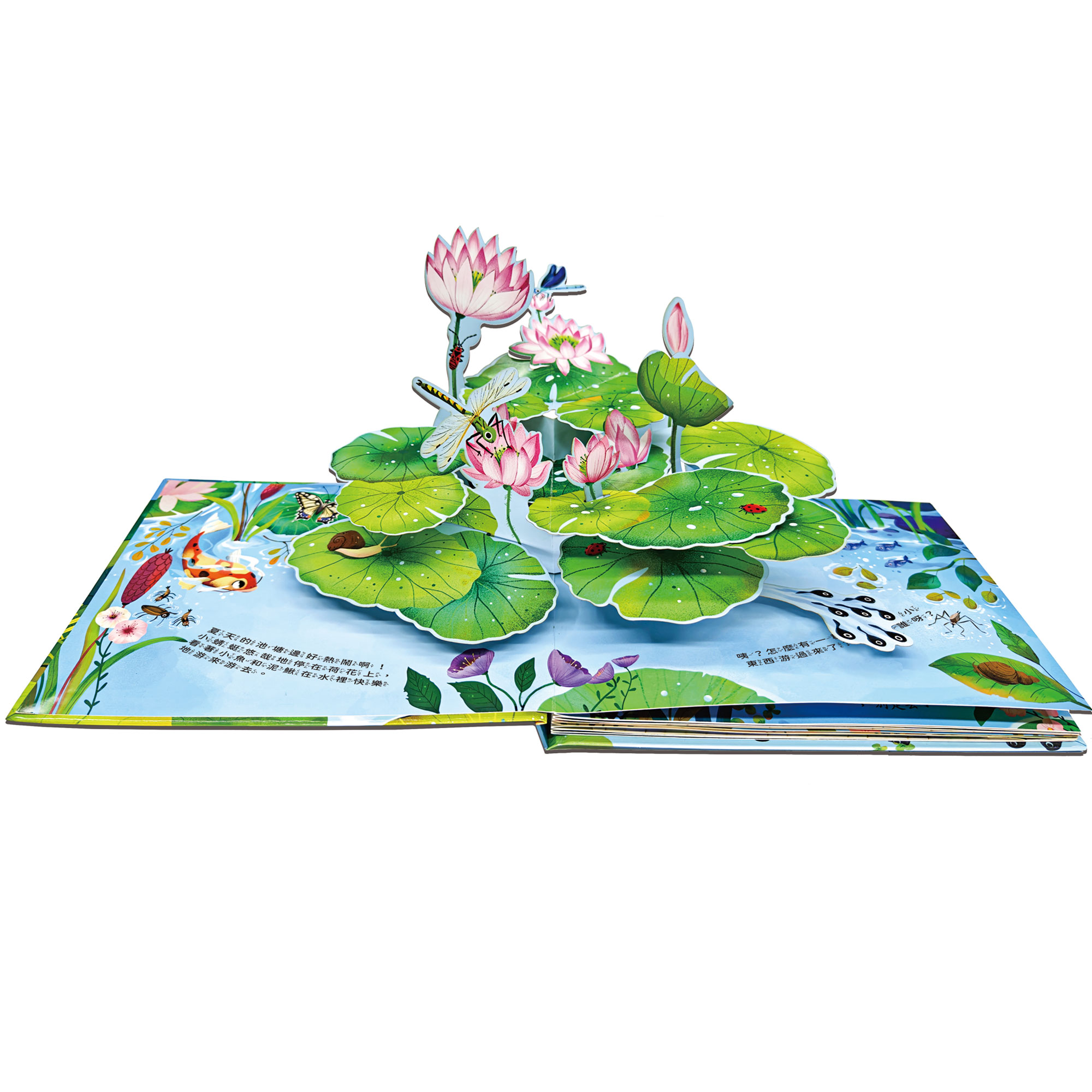 成長歷險立體繪本-小蝌蚪要找媽媽,立體翻翻書、成長繪本,U51380015,成長歷險立體繪本-小蝌蚪要找媽媽,所有商品,幼童看這裡