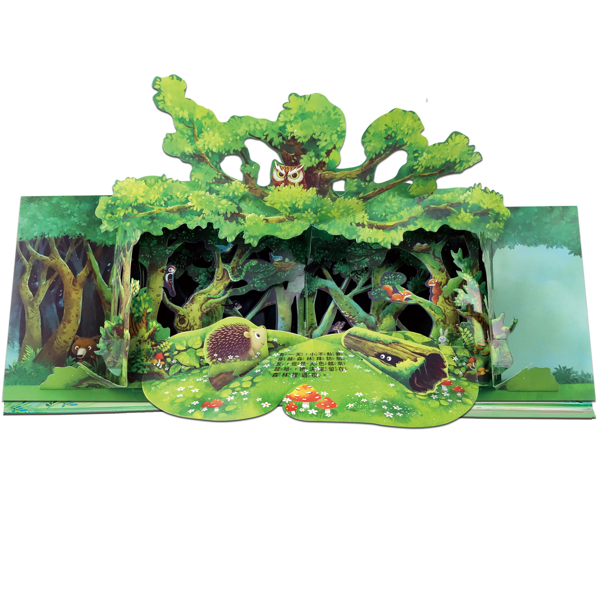 成長歷險立體繪本-小刺蝟要探險,立體翻翻書、成長繪本,U51380020,成長歷險立體繪本-小刺蝟要探險,所有商品,幼童看這裡