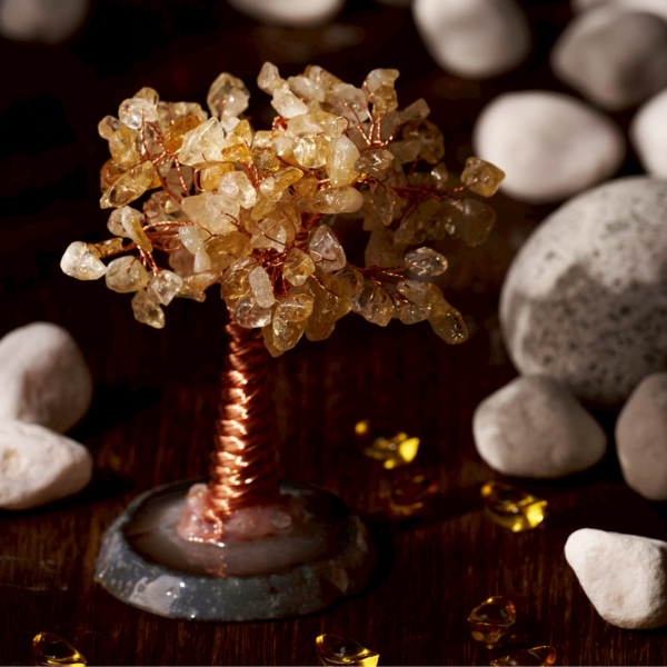 黑圓底古松樹（黃水晶）｜根深穩財・富貴長青,招財,居家風水,財位擺設,事業運擺飾,黃水晶招財