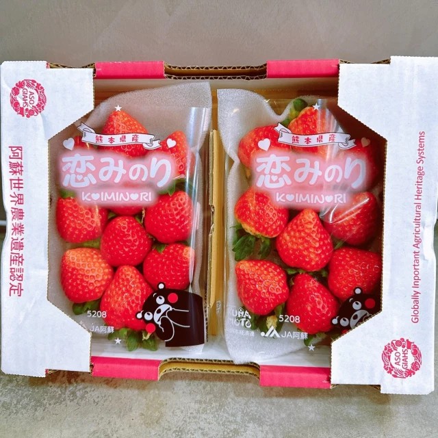 【專業農】日本 熊本 阿蘇 戀之實 恋みのり 草莓