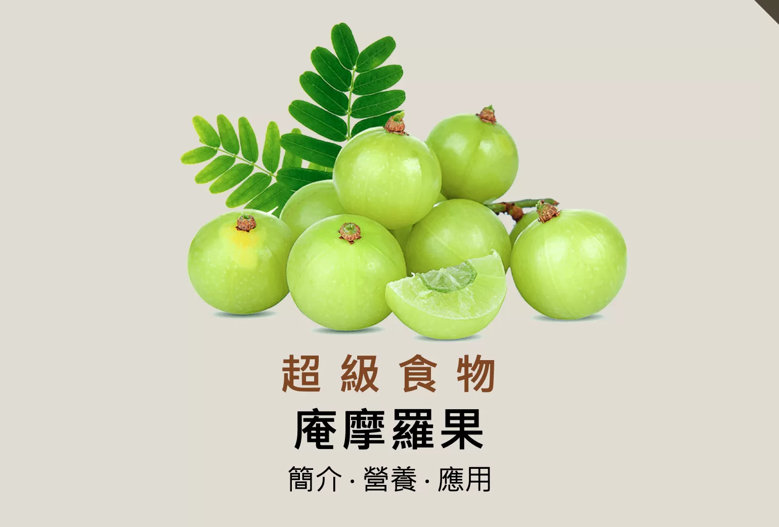 AMLA庵摩羅果酵素(原液)