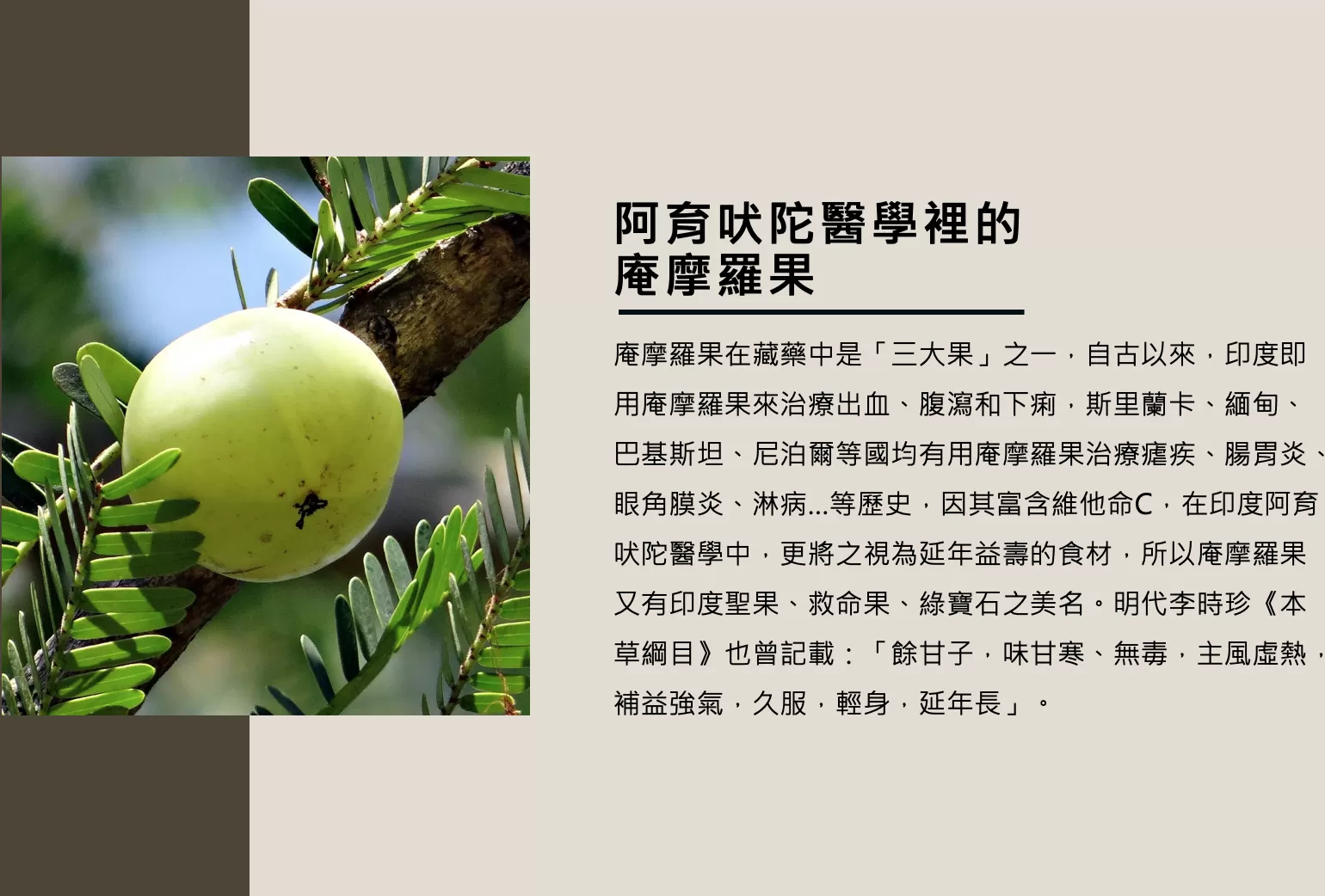 AMLA庵摩羅果酵素(原液)