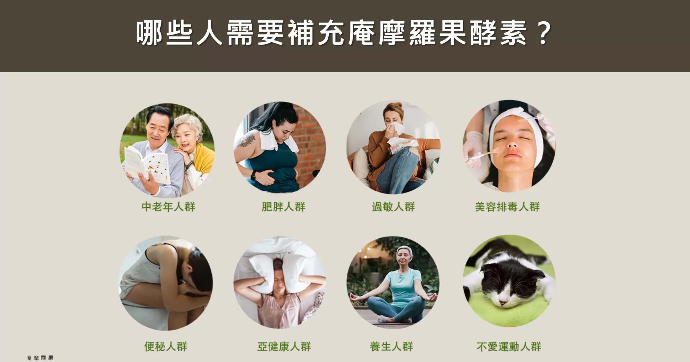 AMLA庵摩羅果酵素(原液)