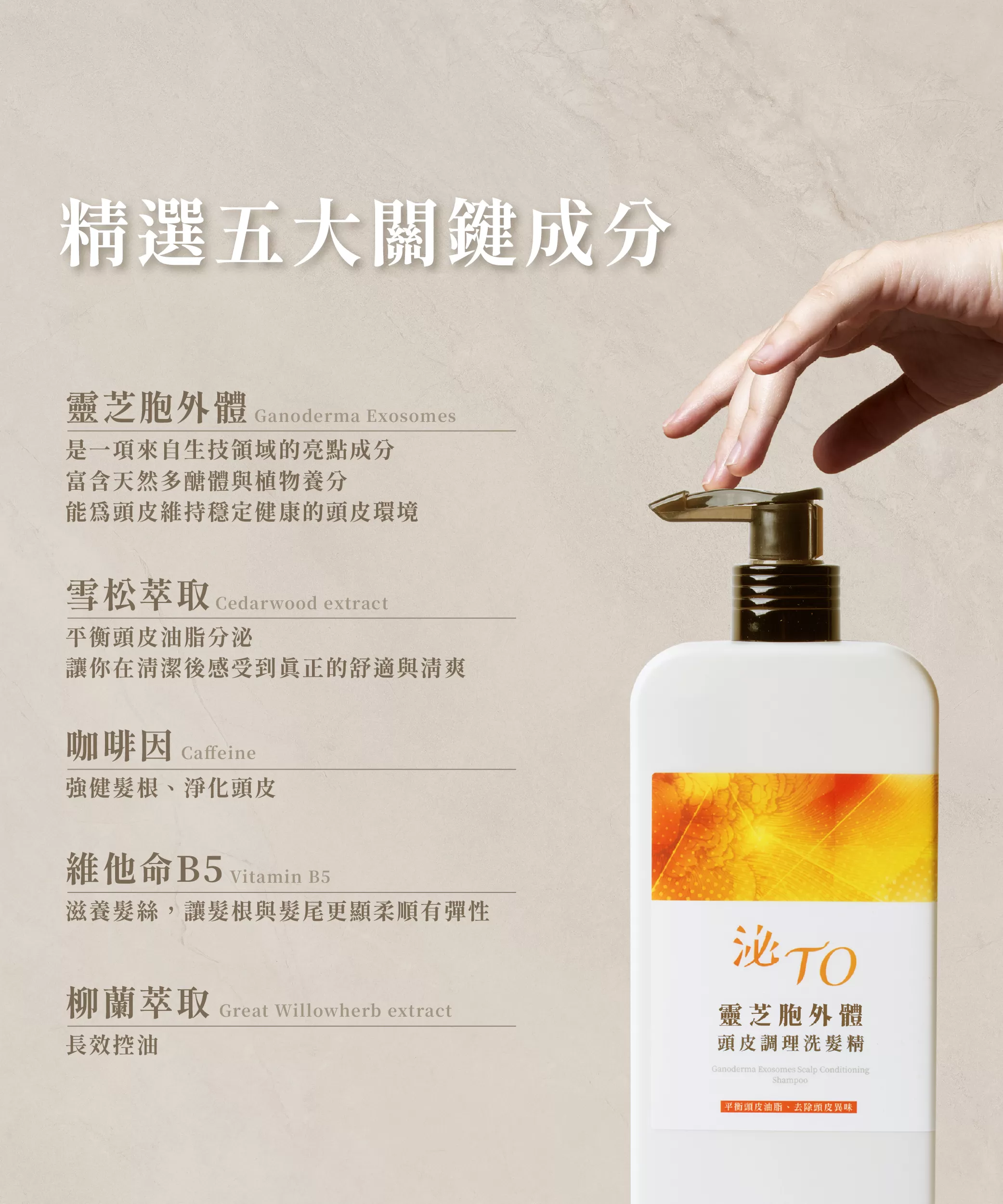 靈芝胞外體頭皮調理洗髮精350ml