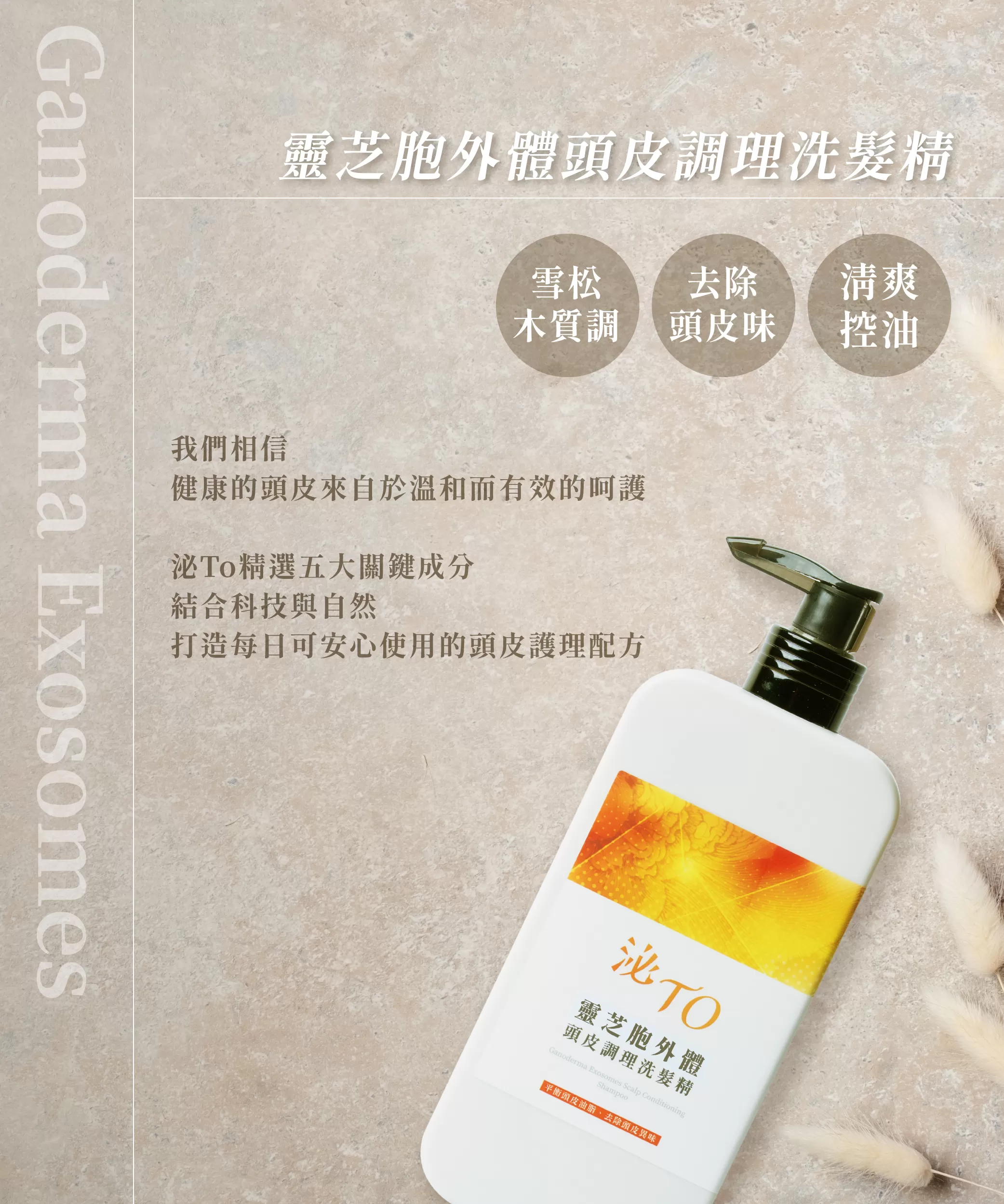 靈芝胞外體頭皮調理洗髮精350ml