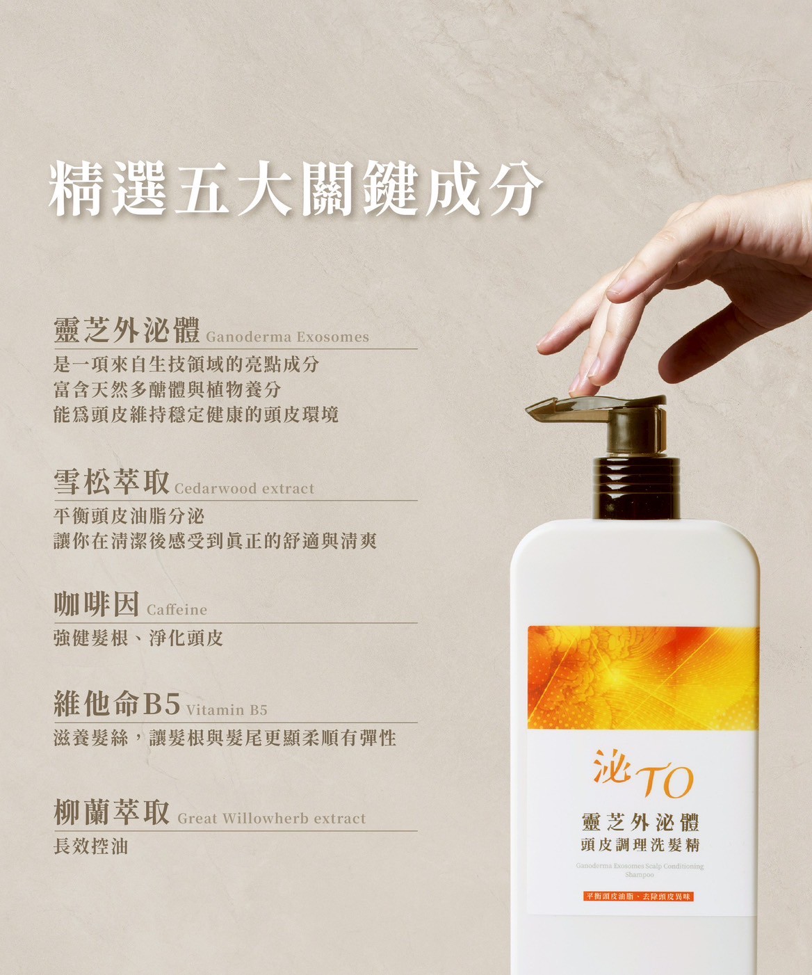 靈芝外泌體頭皮調理洗髮精350ml
