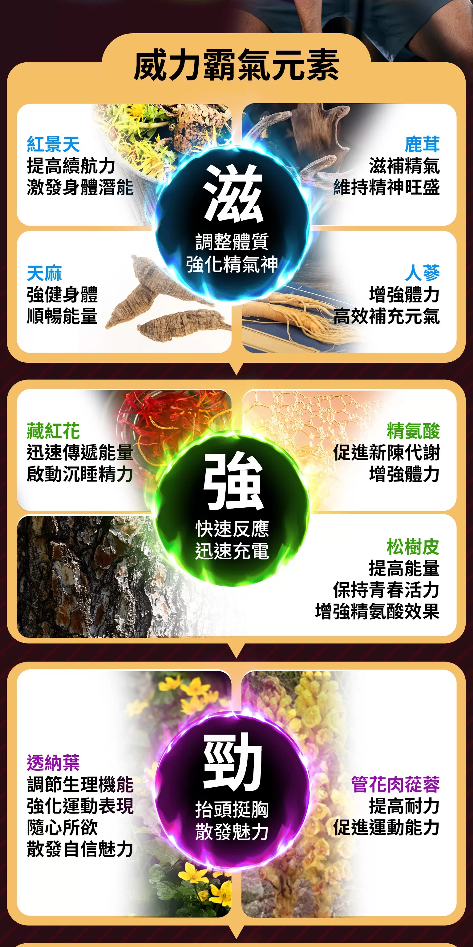 隨心所欲 御茸錠