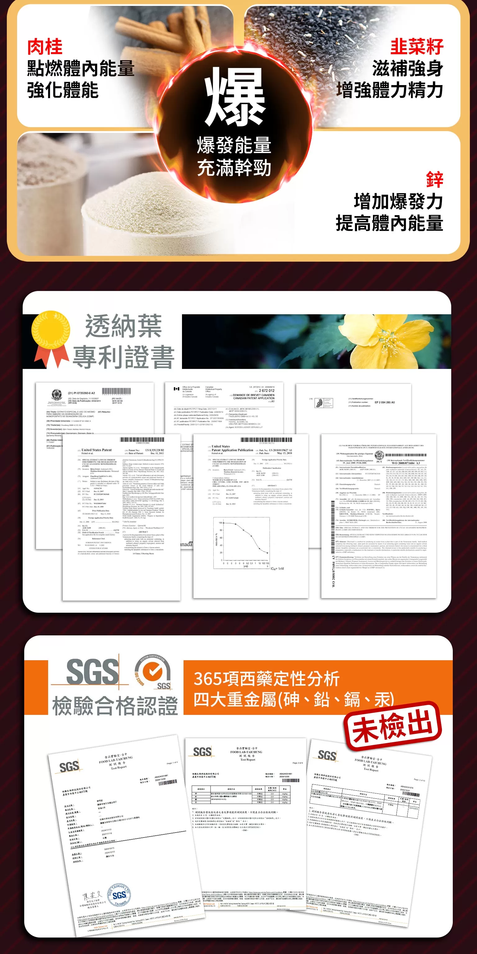 隨心所欲 御茸錠