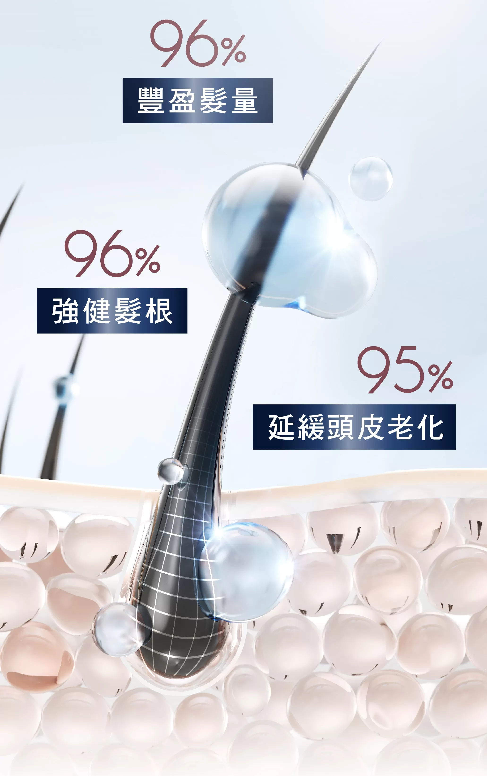 EXO泌髮滾珠瓶套組