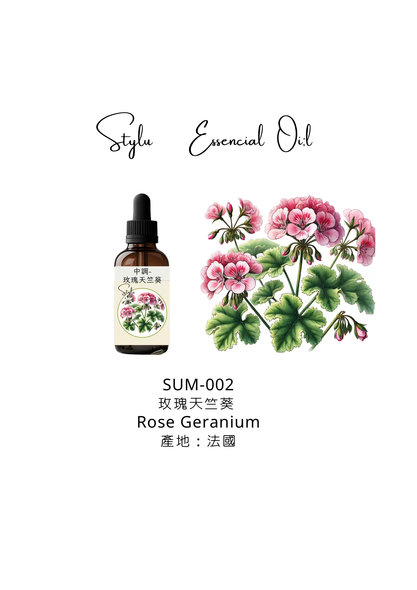玫瑰天竺葵 Rose Geranium