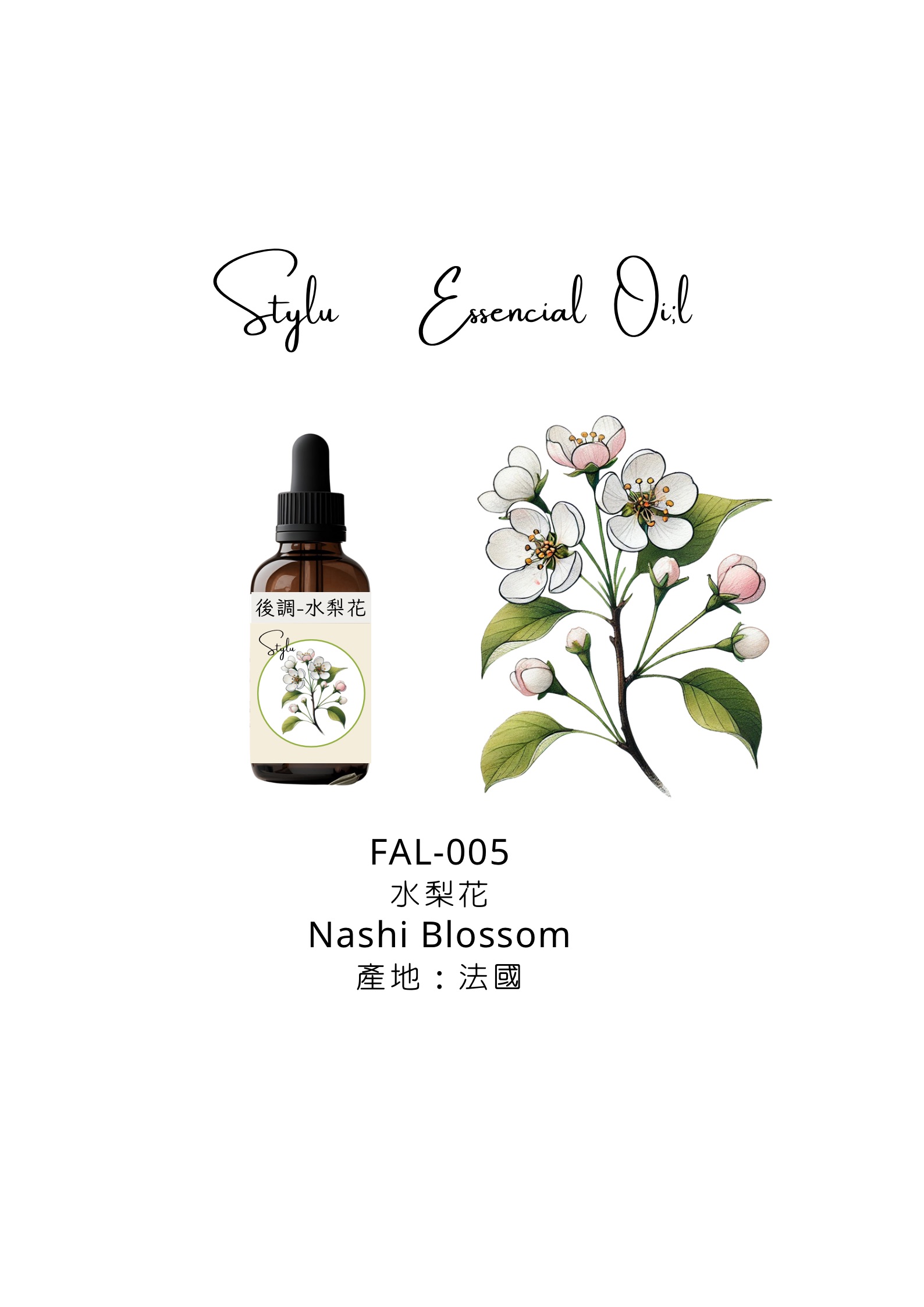水梨花 Nashi Blossom
