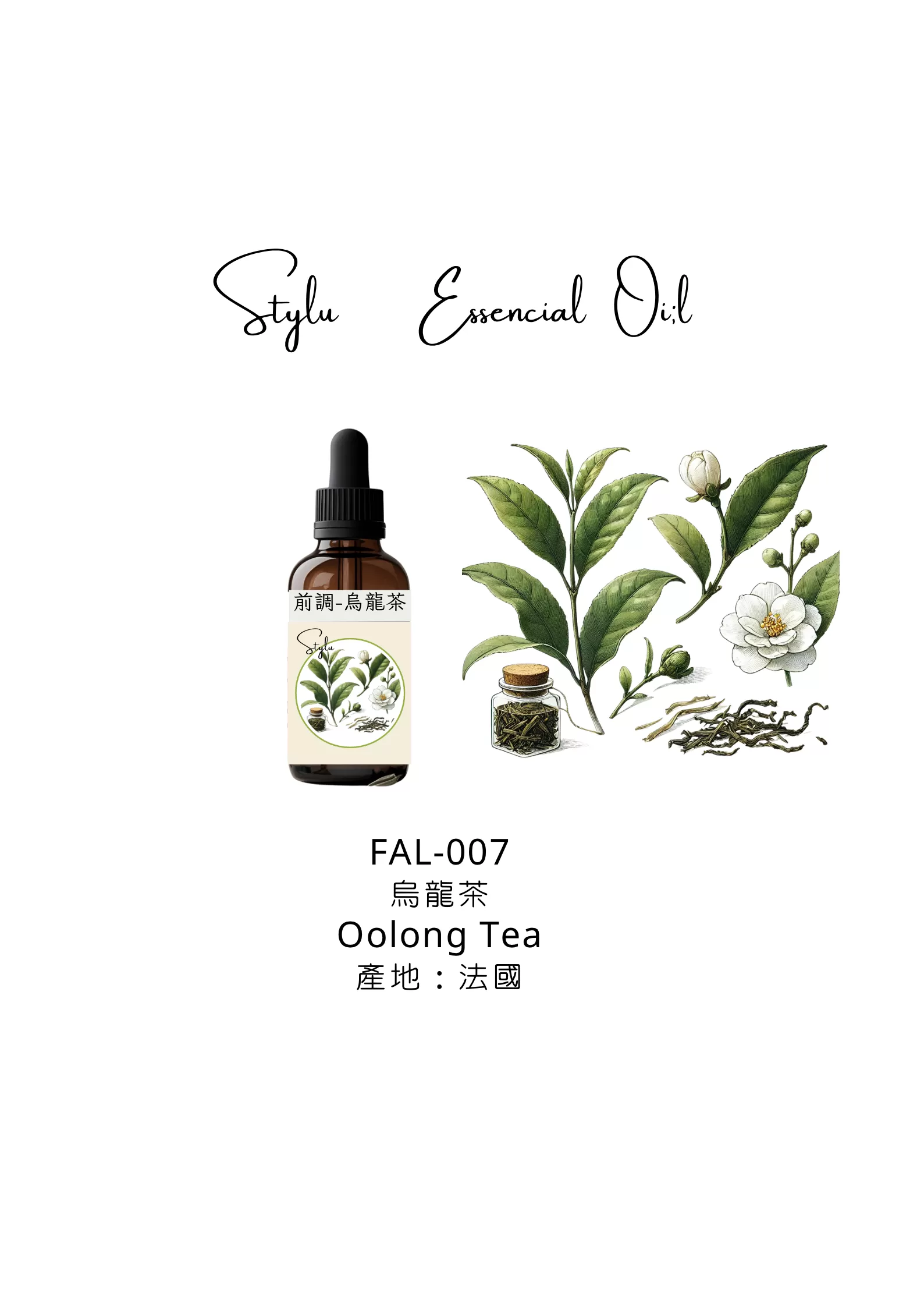 烏龍茶 Oolong Tea