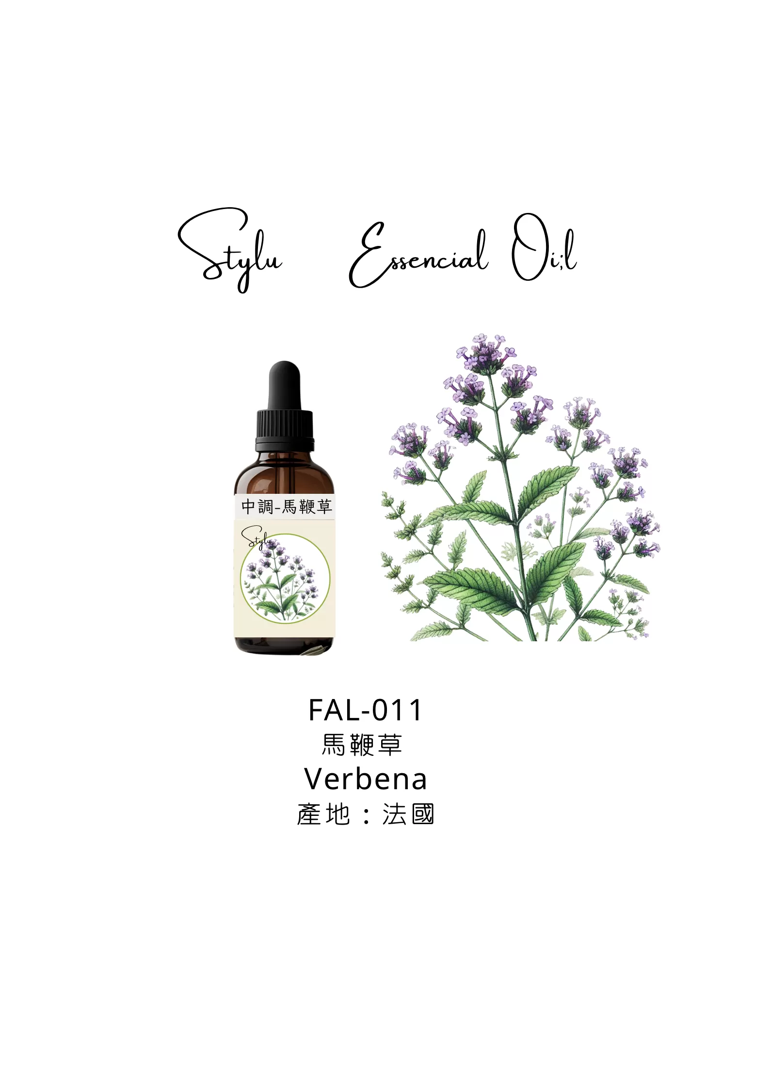 馬鞭草 Verbena
