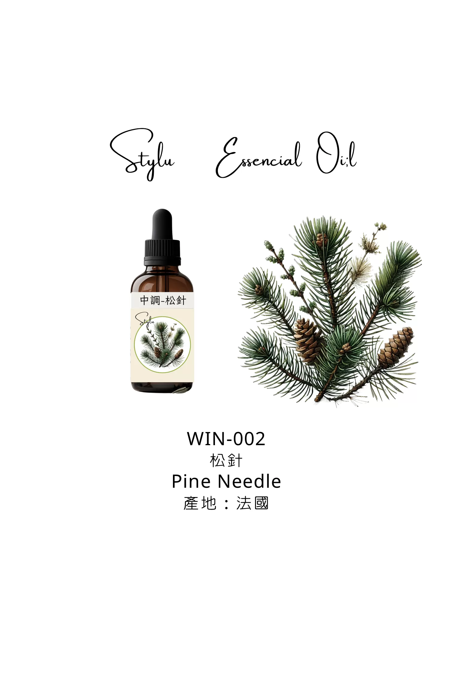 松針 Pine Needle