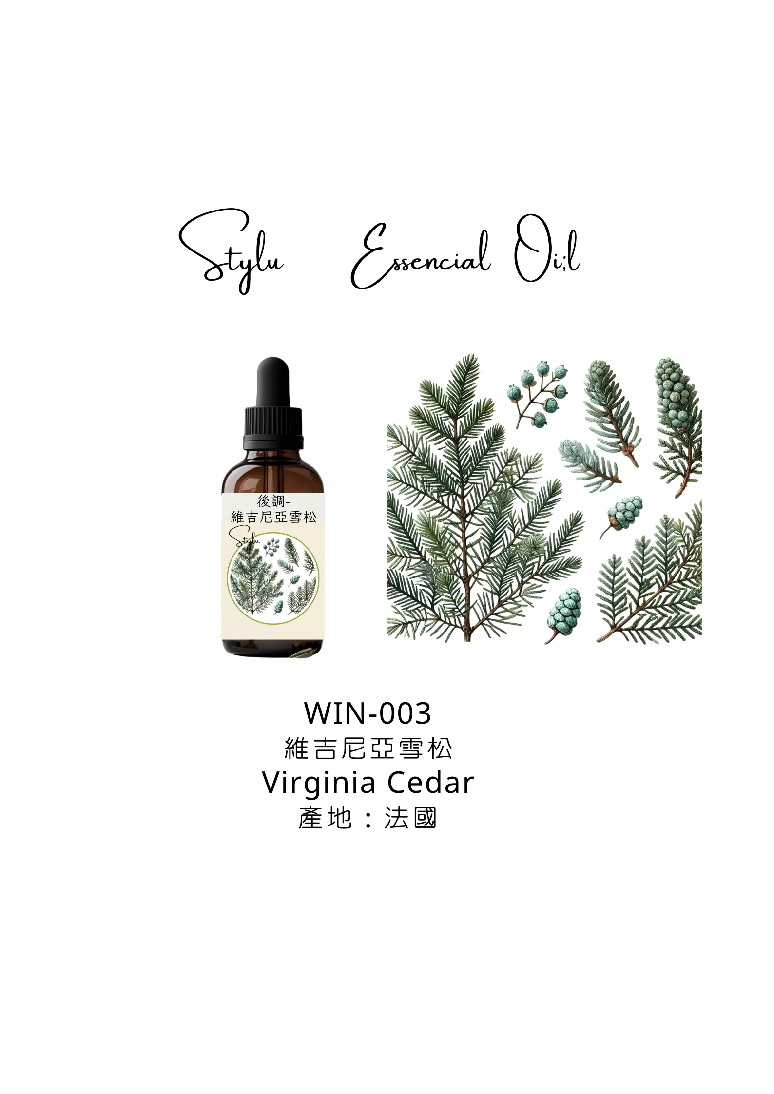 維吉尼亞雪松 Virginia Cedar