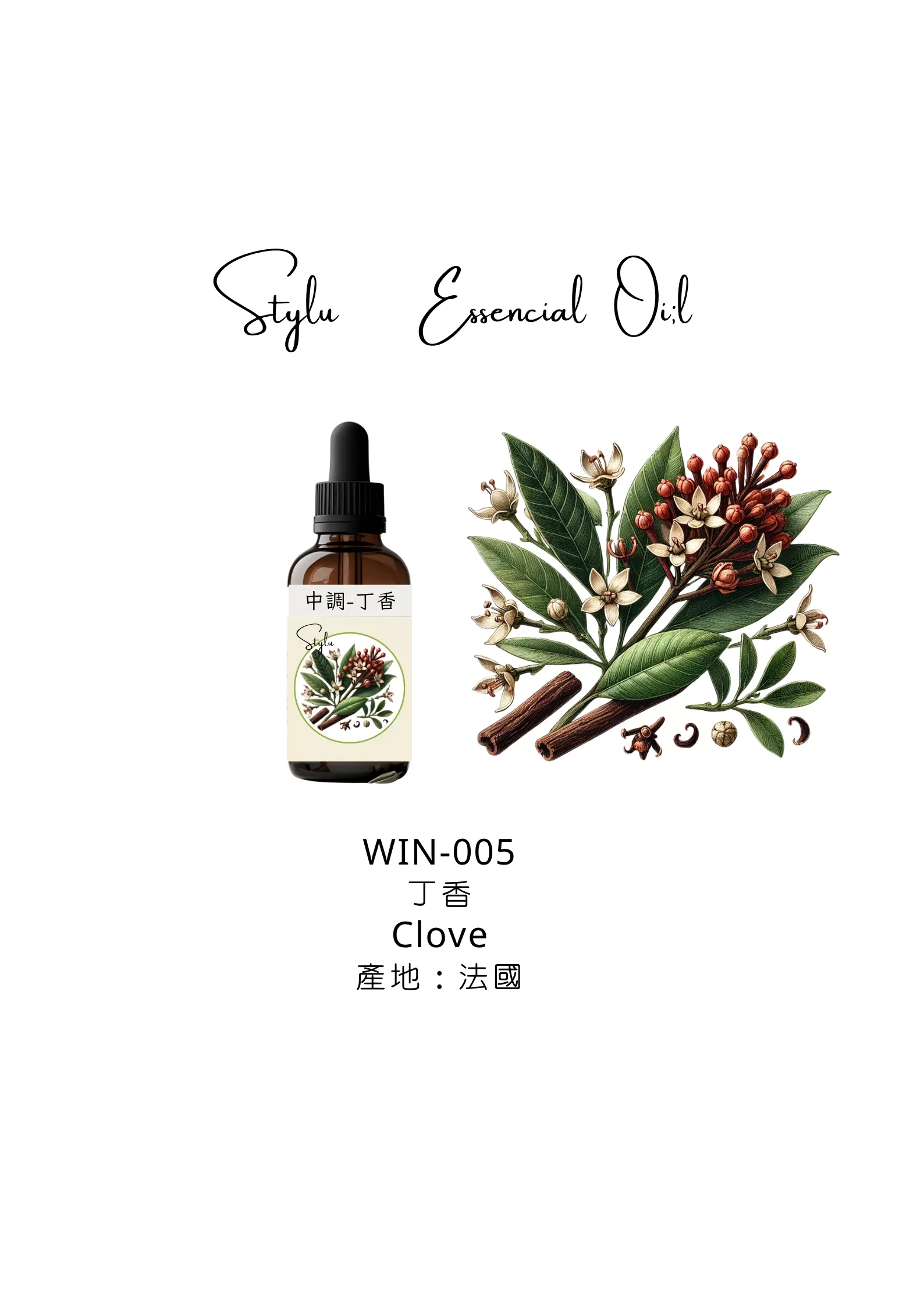 丁香 Clove