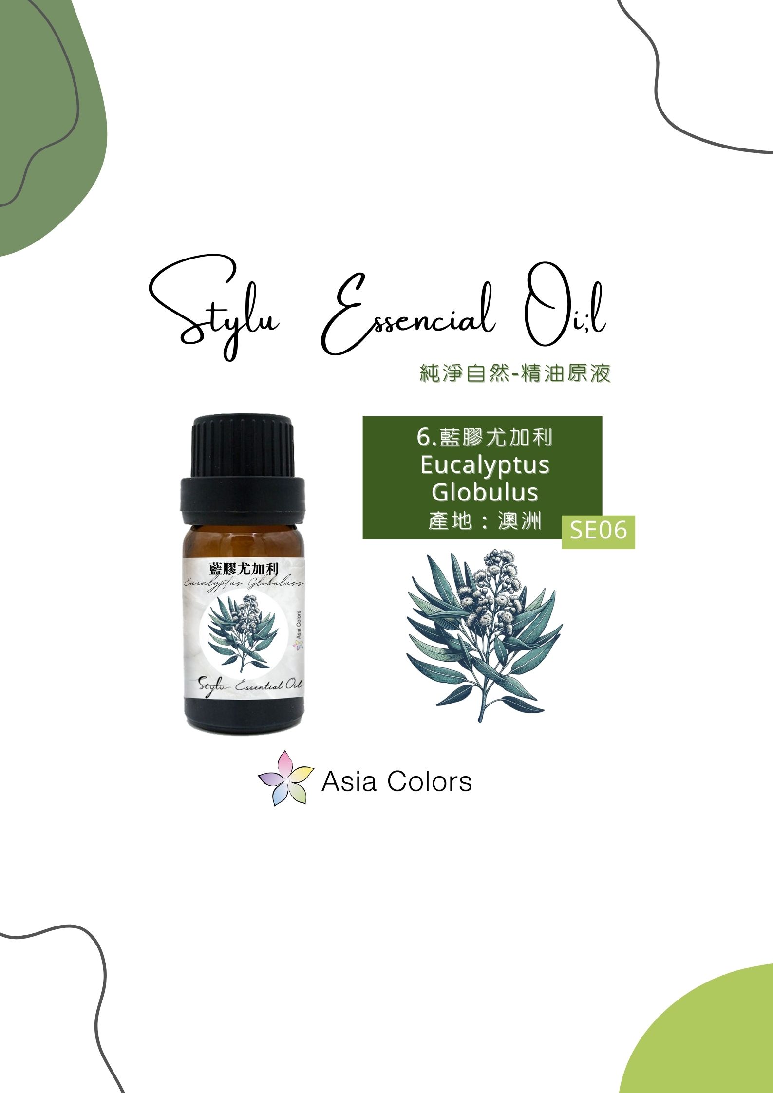 藍膠尤加利 Eucalyptus Globulus