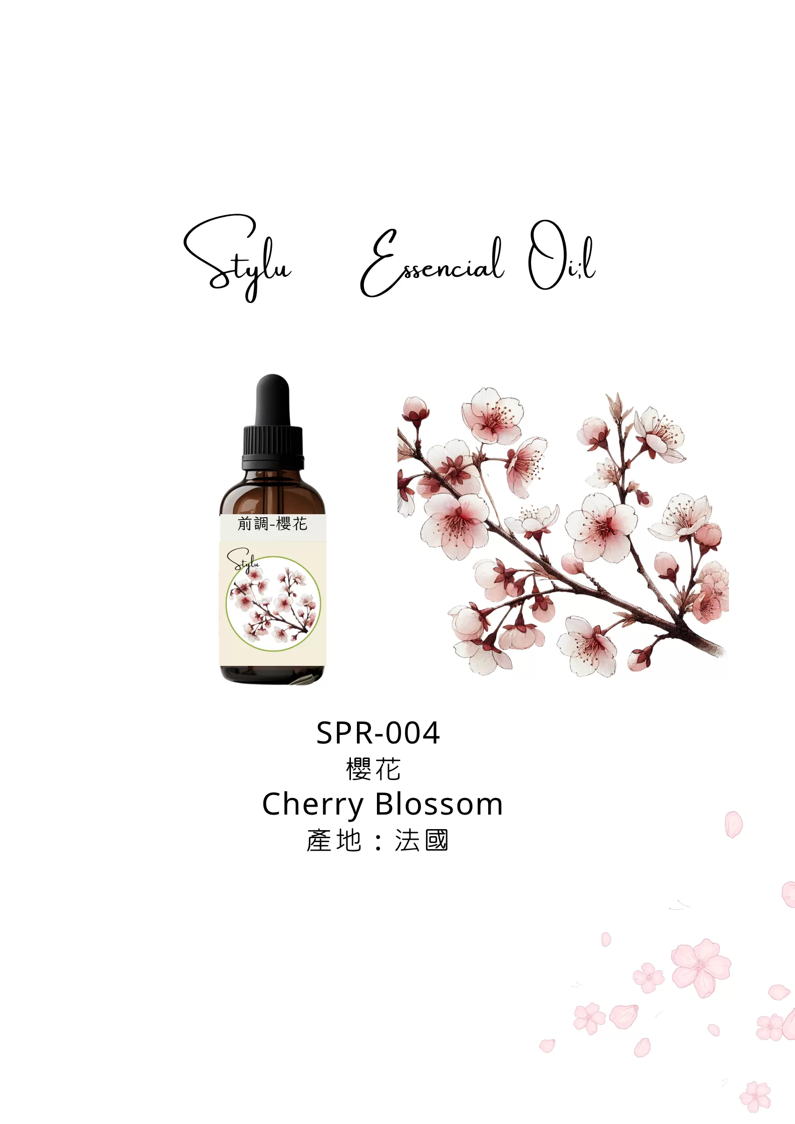 櫻花 Cherry Blossom