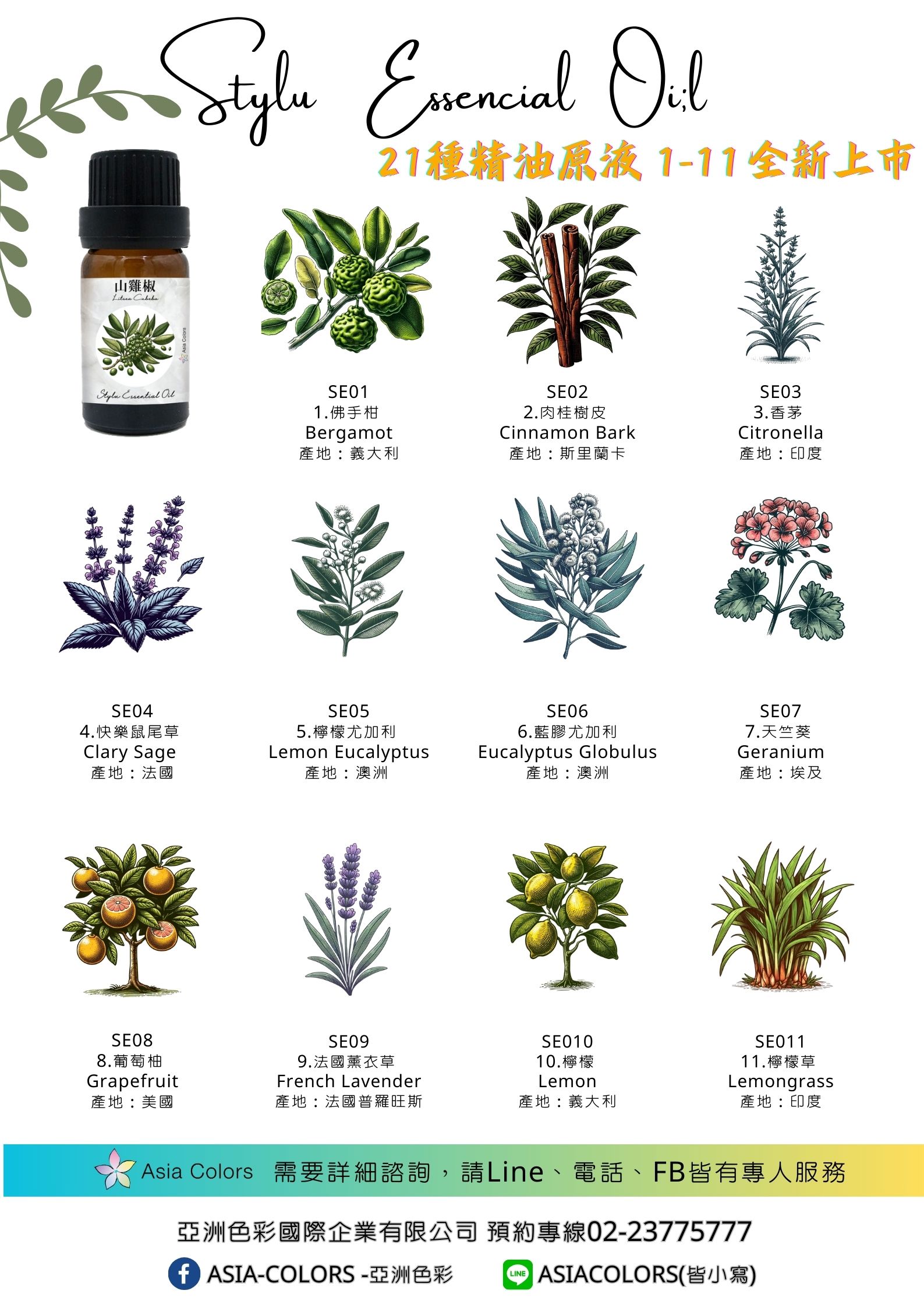 迷迭香 Rosemary,SE019,迷迭香Rosemary,香氛體驗,自然精油原精,SE019