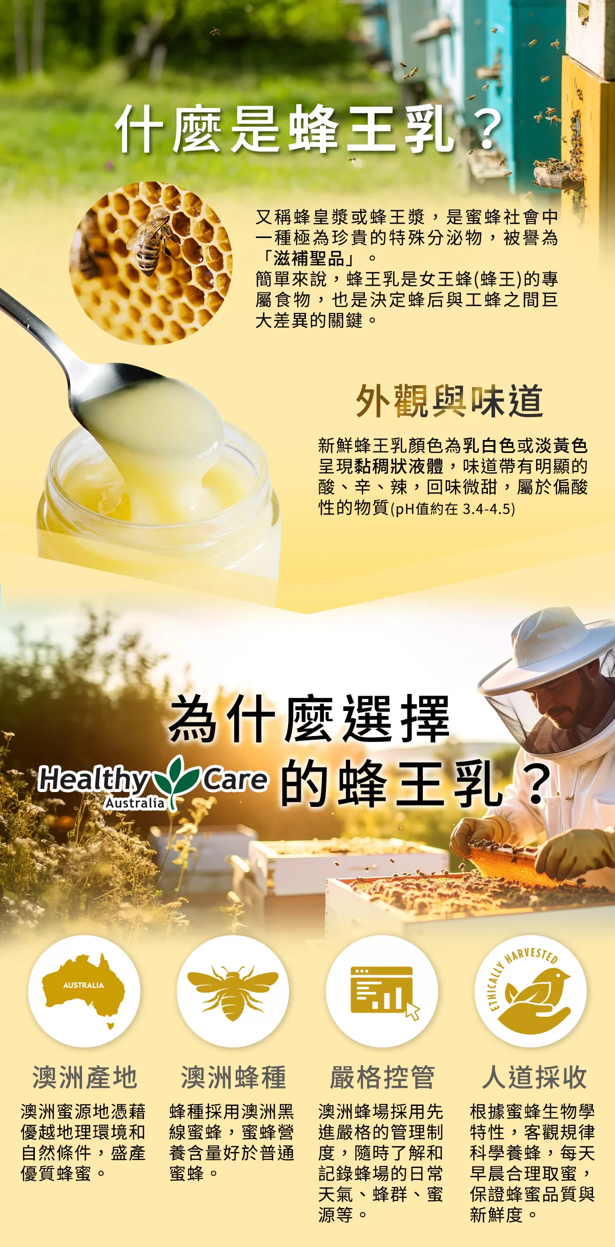 蜂王乳膠囊1000 (365顆),80006,蜂王乳膠囊1000(365顆),澳洲製造40年品質信賴|6%癸烯酸｜1000mg高濃度滋補,熱銷商品,80006_1