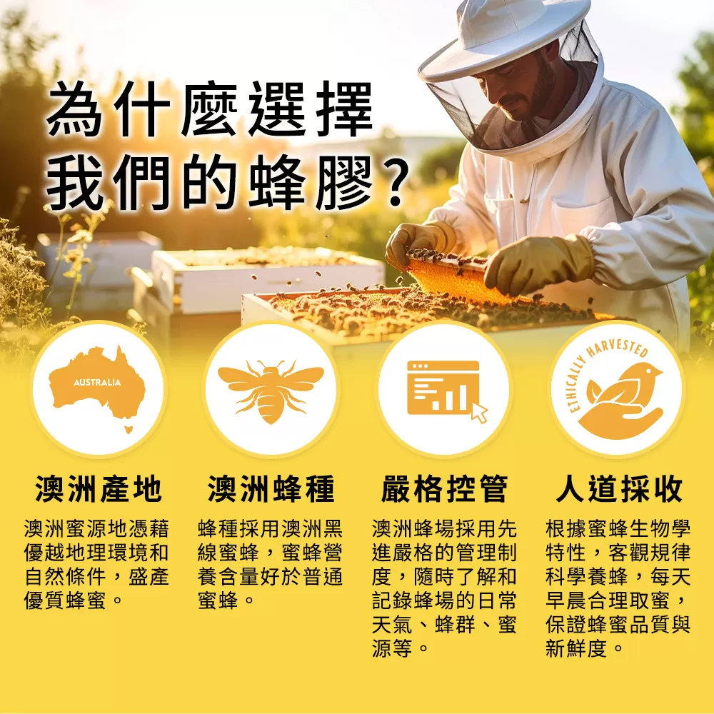 蜂膠牙膏120g,70004,蜂膠牙膏120g,3/17-3/31世界口腔健康日多入組享優惠價,熱銷商品,70004_1