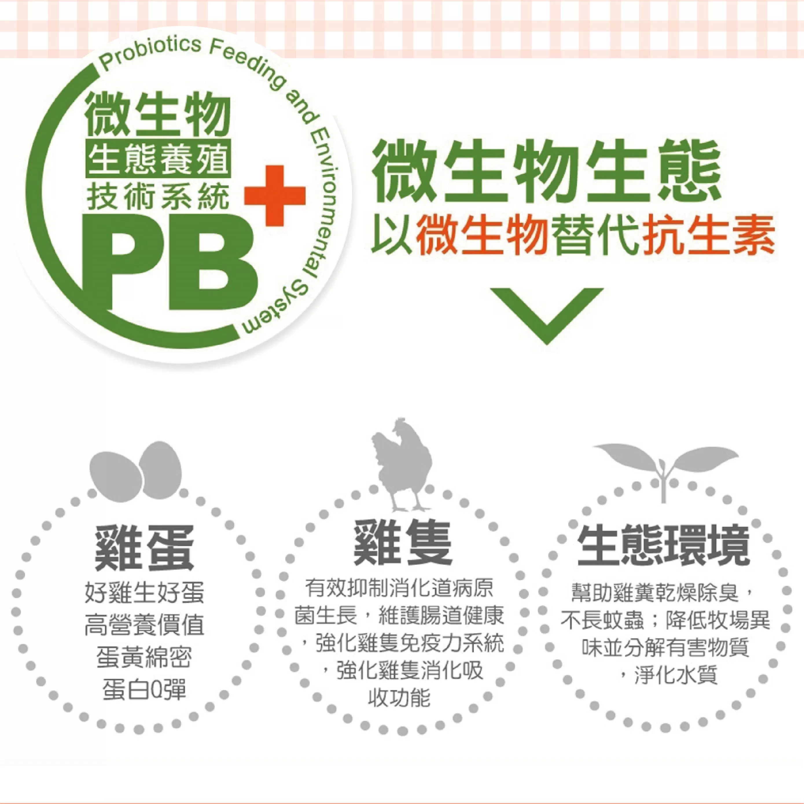 【寶奇】白殼-富硒蛋＊4盒(10入/盒),U61310001,【寶奇】白殼-富硒蛋＊4盒(10入/盒),硒含量比起一般雞蛋達6~8倍以上,所有商品,寶奇生技