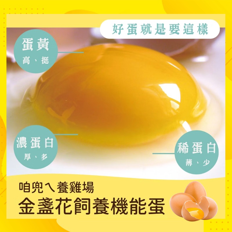 【寶奇】紅殼-金盞花飼養機能蛋＊4盒(10入/盒),U61390001,【寶奇】紅殼-金盞花飼養機能蛋＊4盒(10入/盒),友善飼養,以微生物替代抗生素,葉黃素