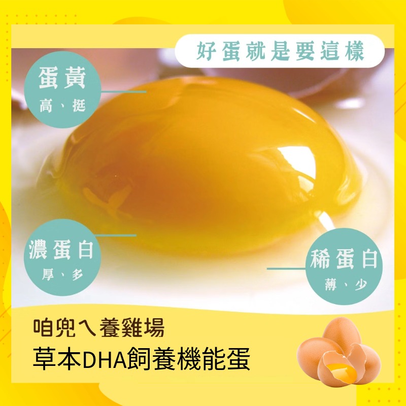 【寶奇】草本DHA飼養機能蛋＊4盒(10入/盒),U61400001,【寶奇】草本DHA飼養機能蛋＊4盒(10入/盒),飼料不添加動物性蛋白質,友善飼養,含DHA