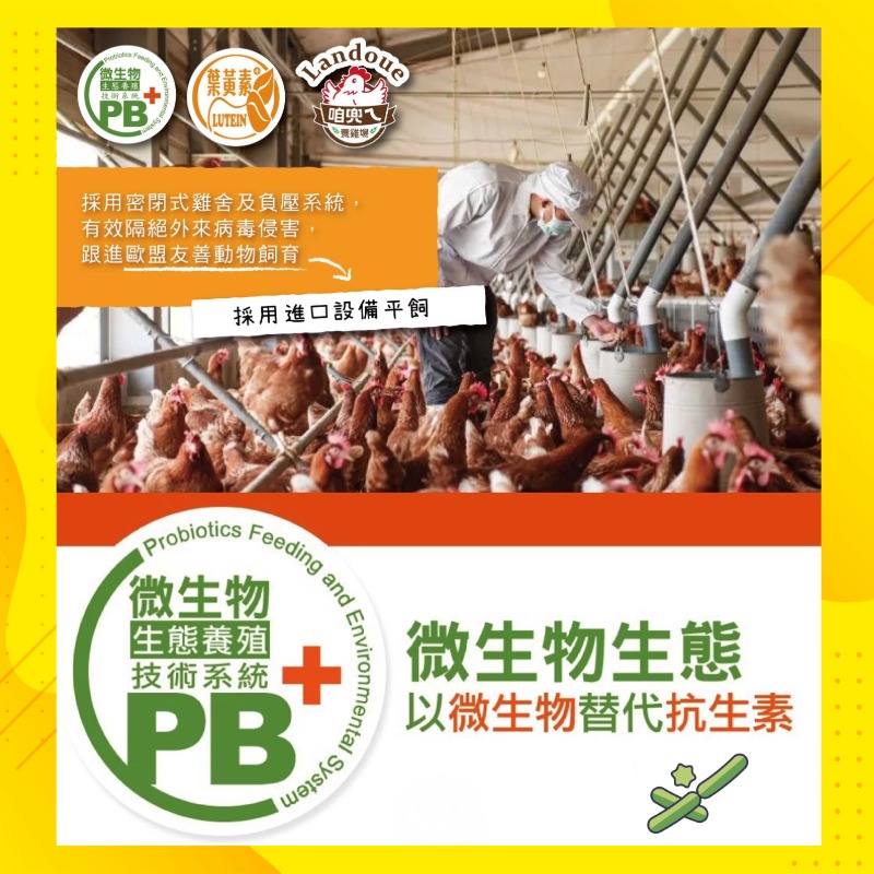 【寶奇】紅殼-金盞花飼養機能蛋＊4盒(10入/盒),U61390001,【寶奇】紅殼-金盞花飼養機能蛋＊4盒(10入/盒),友善飼養,以微生物替代抗生素,葉黃素