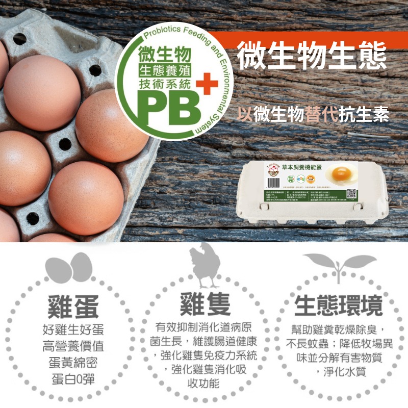 【寶奇】草本DHA飼養機能蛋＊4盒(10入/盒),U61400001,【寶奇】草本DHA飼養機能蛋＊4盒(10入/盒),飼料不添加動物性蛋白質,友善飼養,含DHA