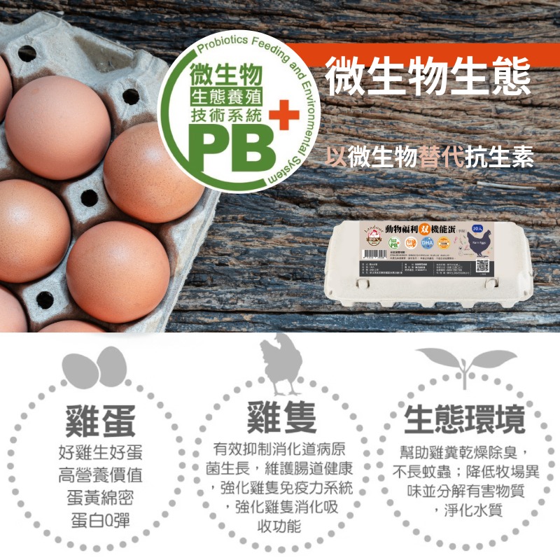 【寶奇】動物福利雙機能蛋＊4盒(10入/盒),U61410001,【寶奇】動物福利雙機能蛋＊4盒(10入/盒),含DHA,以微生物替代抗生素,葉黃素