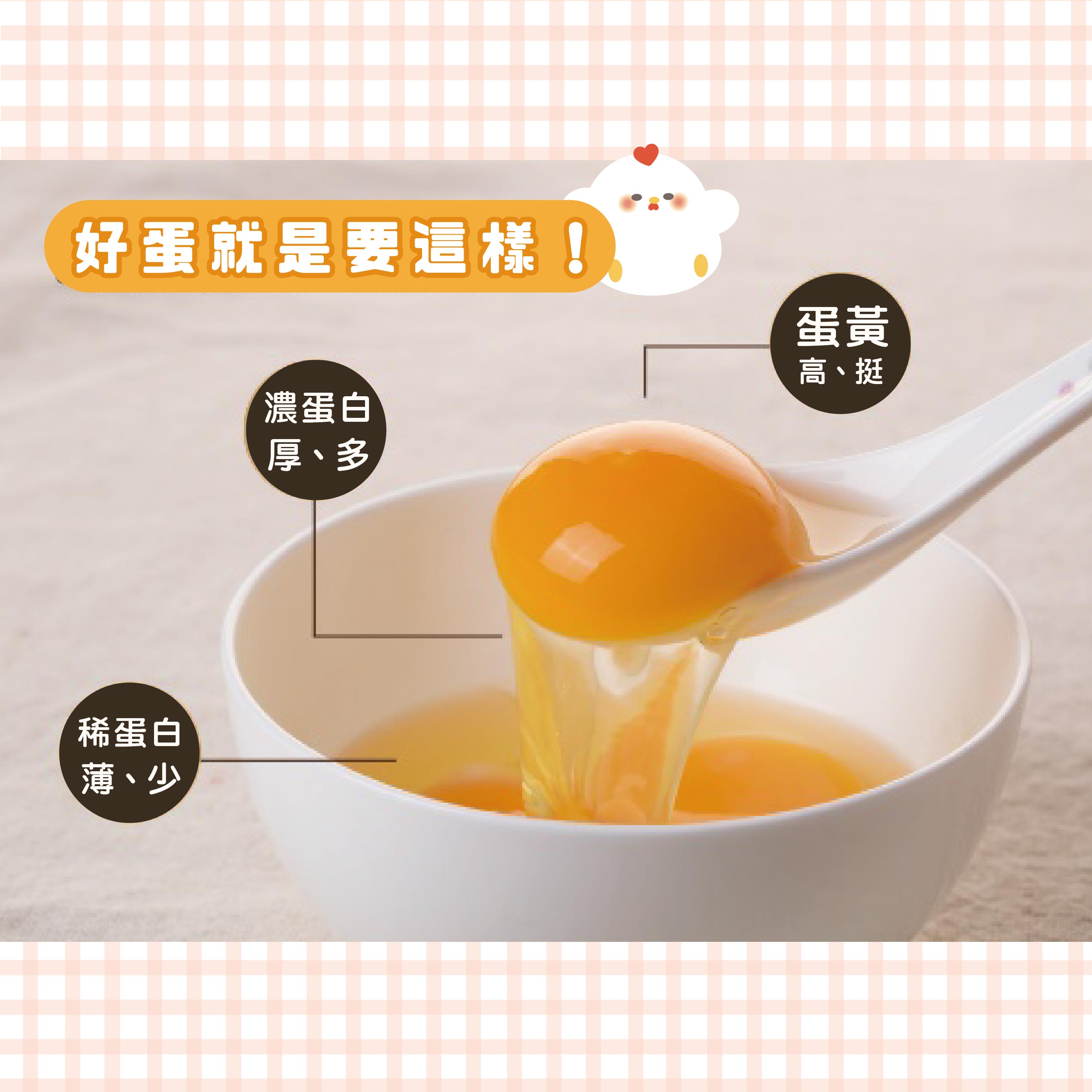 【寶奇】白殼-富硒蛋＊4盒(10入/盒),U61310001,【寶奇】白殼-富硒蛋＊4盒(10入/盒),硒含量比起一般雞蛋達6~8倍以上,所有商品,寶奇生技