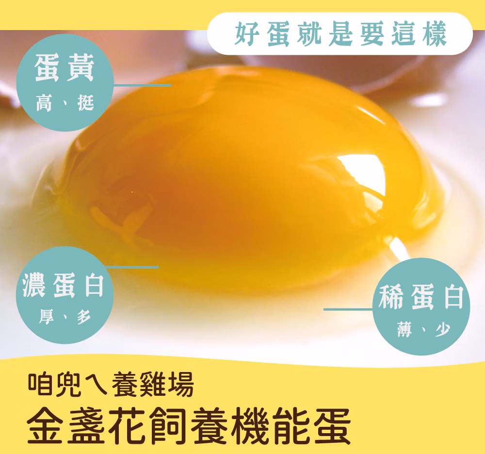 【寶奇】紅殼-金盞花飼養機能蛋＊4盒(10入/盒),U61390001,【寶奇】紅殼-金盞花飼養機能蛋＊4盒(10入/盒),友善飼養,以微生物替代抗生素,葉黃素