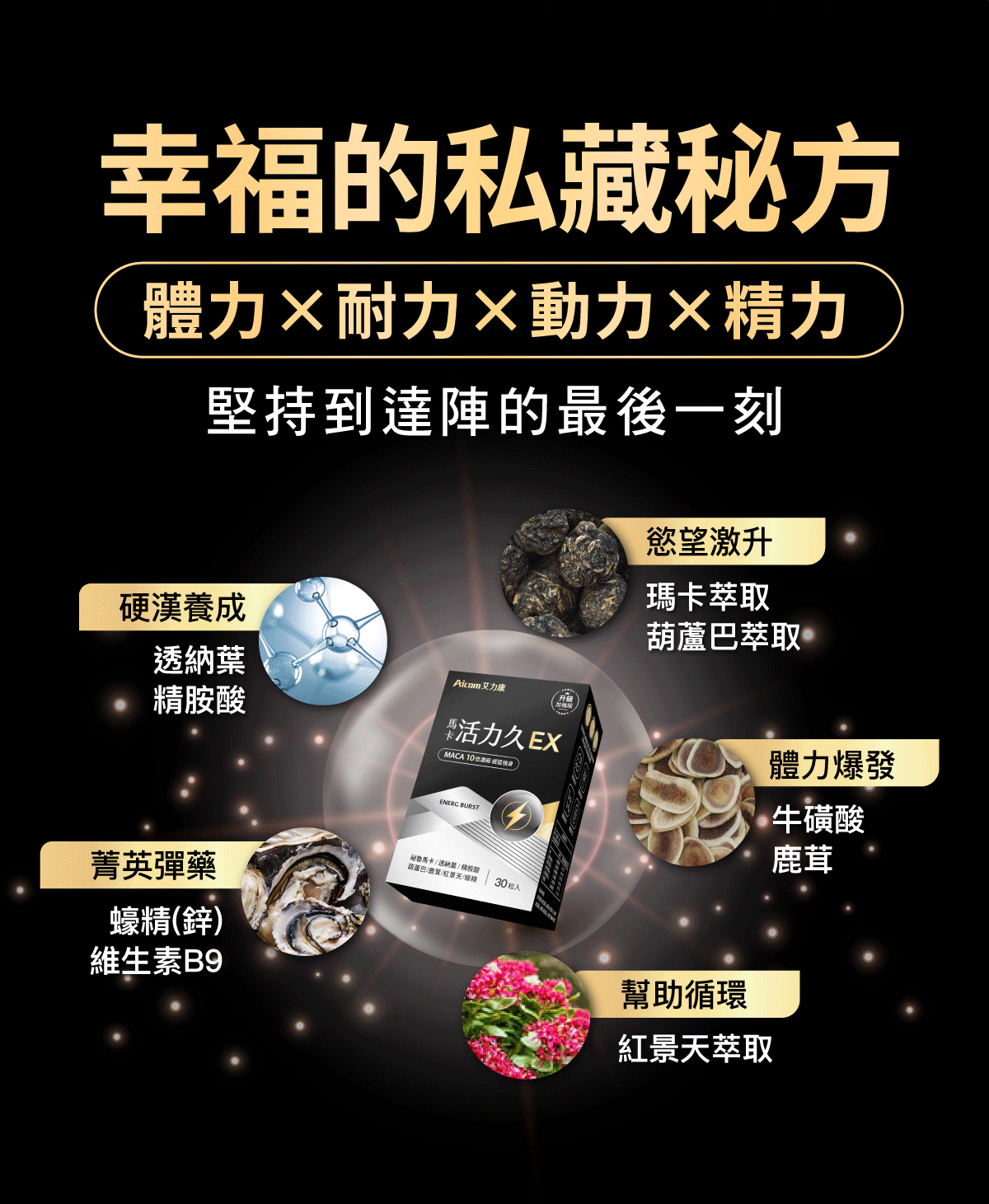 Aicom艾力康 馬卡活力久EX＊2盒