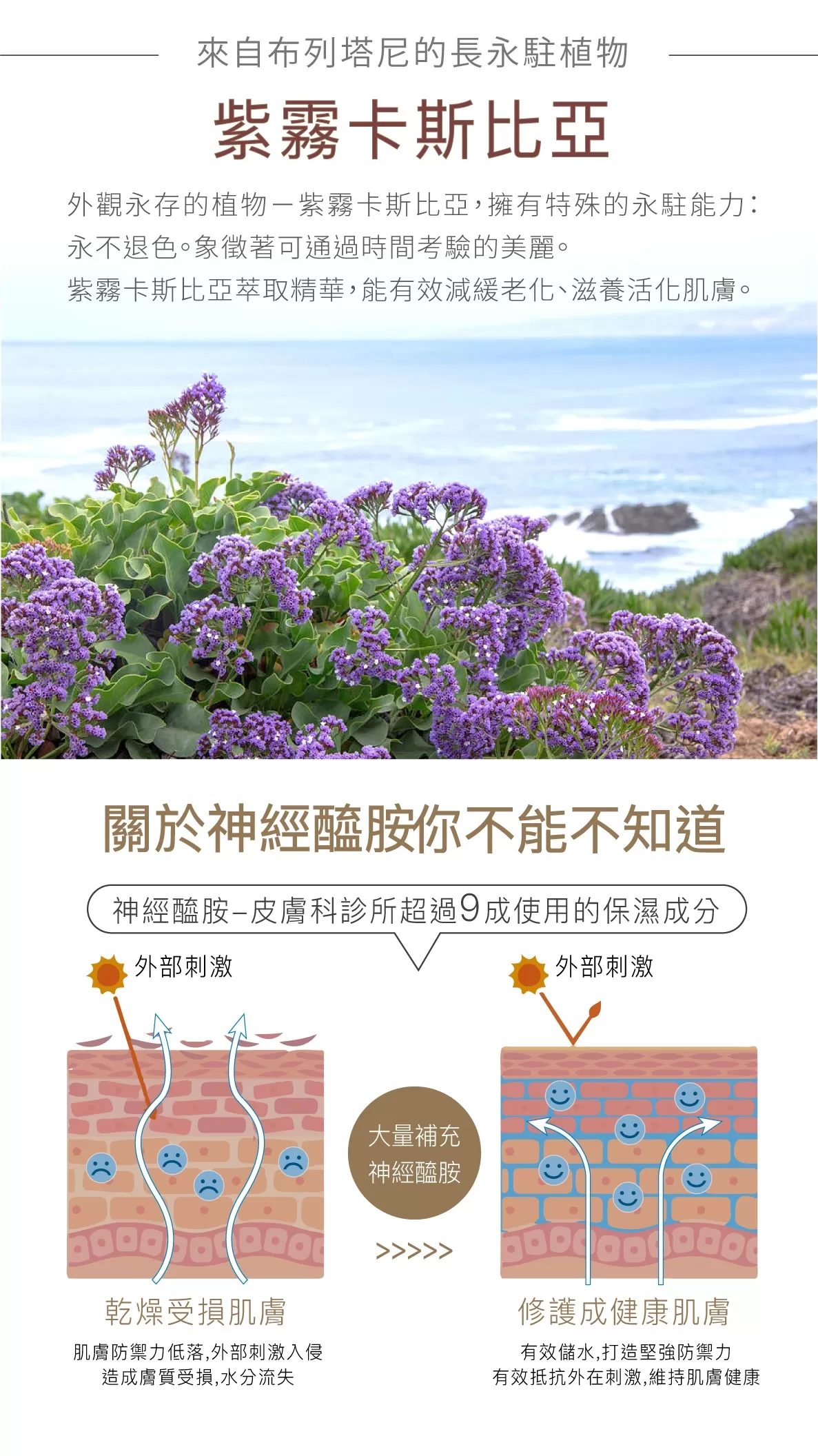 DSK 賦活緊緻精華乳(50ml/瓶),U60960001,DSK賦活緊緻精華乳(50ml/瓶),多重抗老,神經醯胺,肌齡逆轉