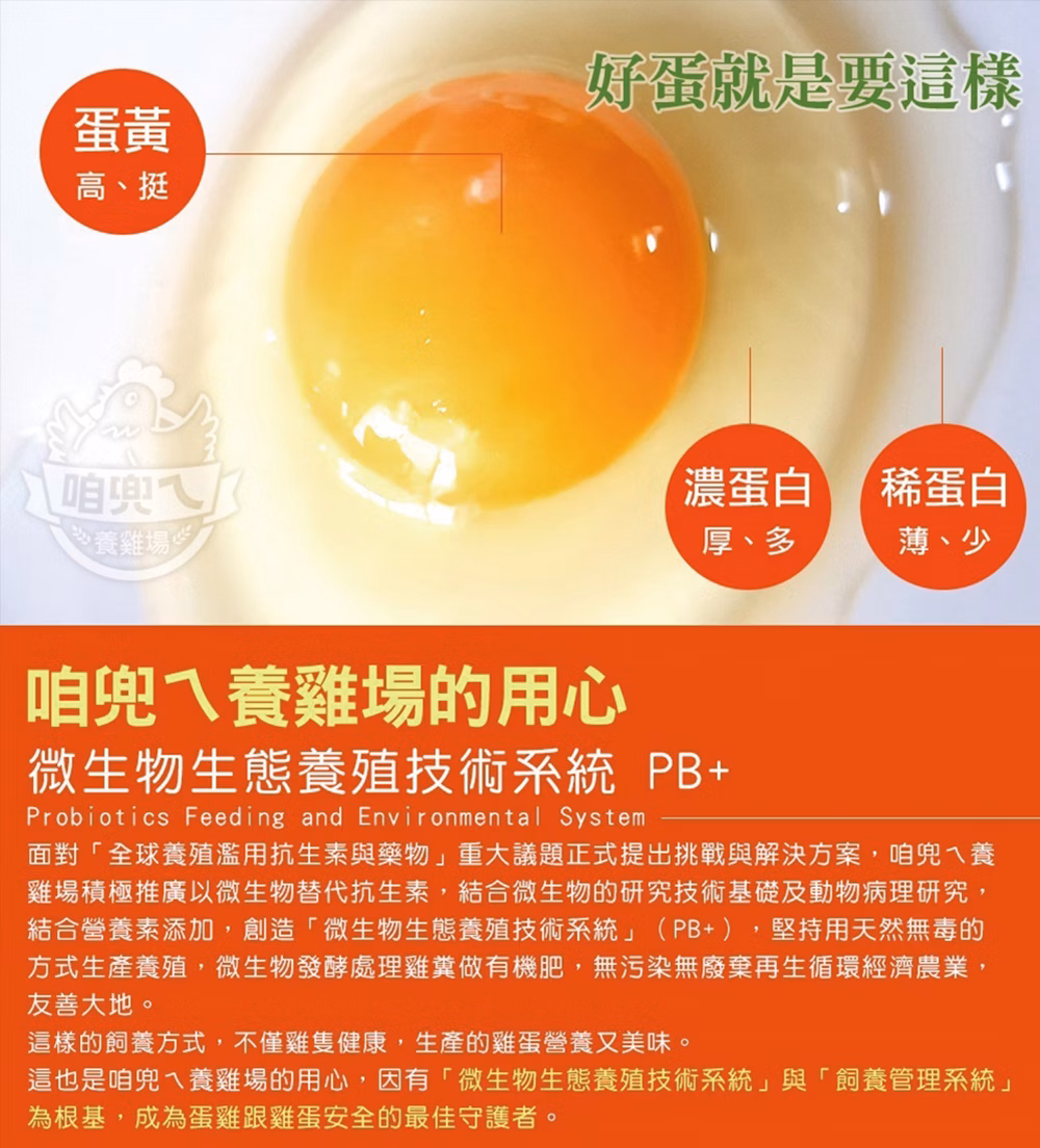 【寶奇】草本DHA飼養機能蛋＊4盒(10入/盒),U61400001,【寶奇】草本DHA飼養機能蛋＊4盒(10入/盒),飼料不添加動物性蛋白質,友善飼養,含DHA