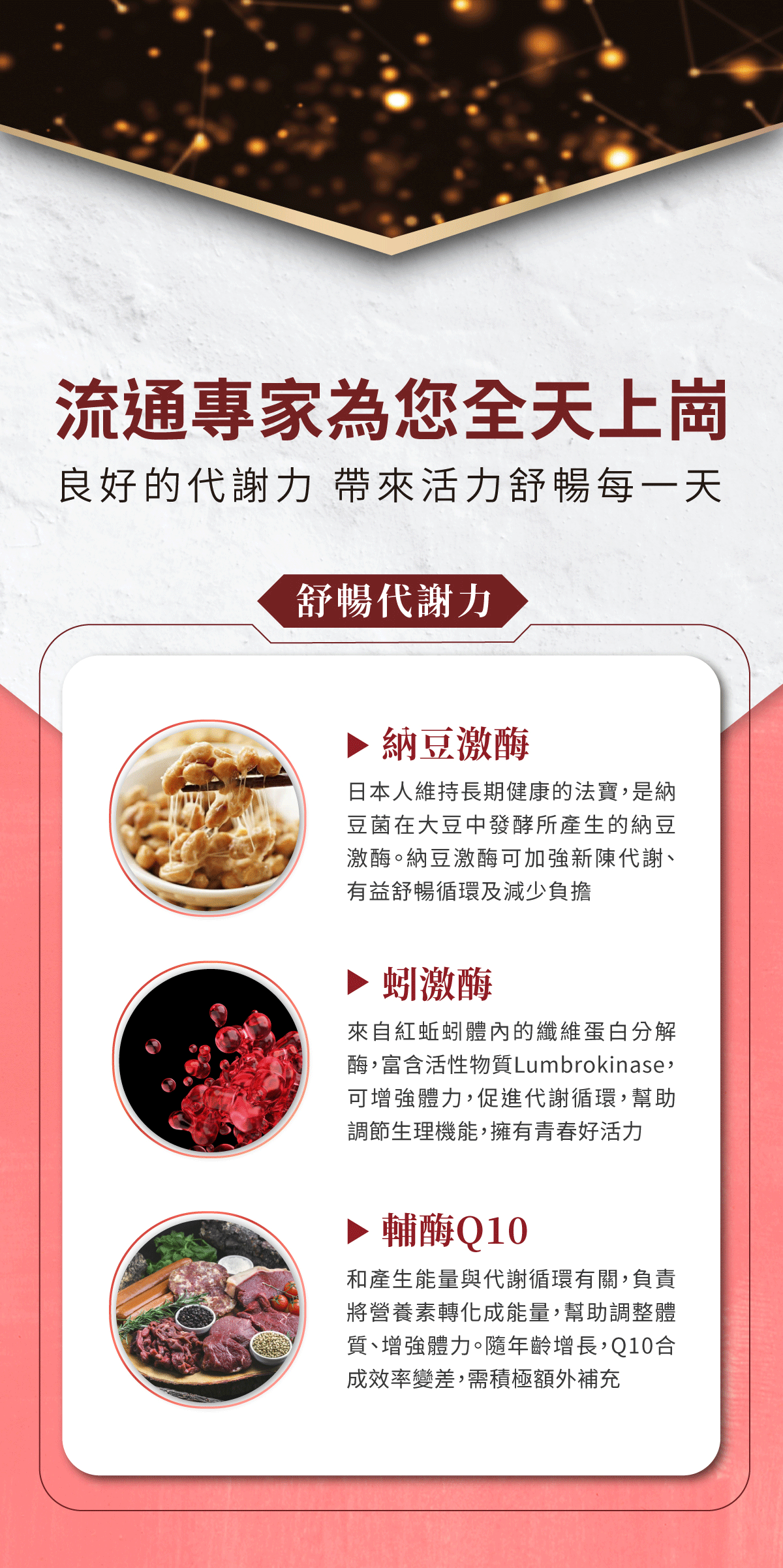 紅麴活力循EX
