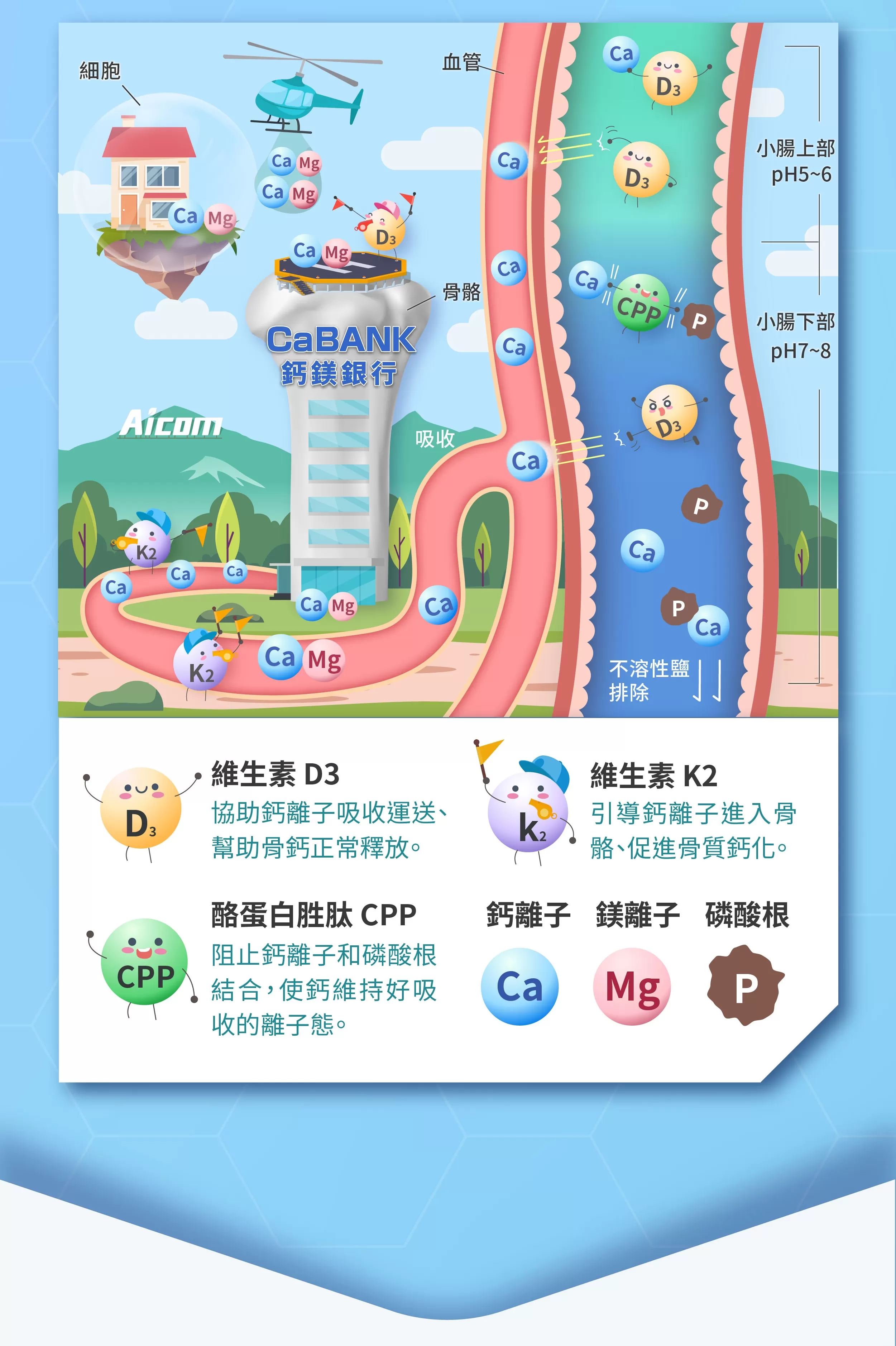 Aicom艾力康 鈣鎂鋅EX＊2盒