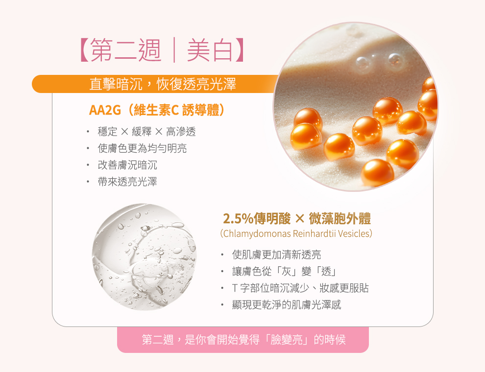 乳鐵蛋白神泌露,U61030001,乳鐵蛋白神泌露,28日肌膚循環計畫,全膚質適用,所有商品